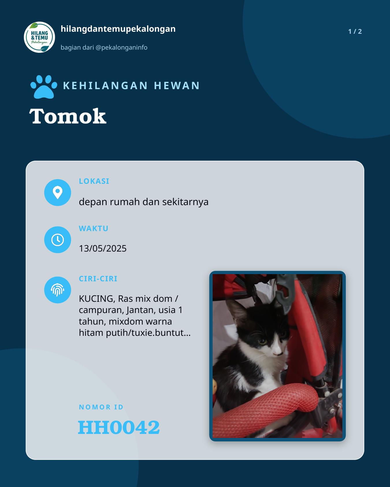 Slide 1 laporan Tomok