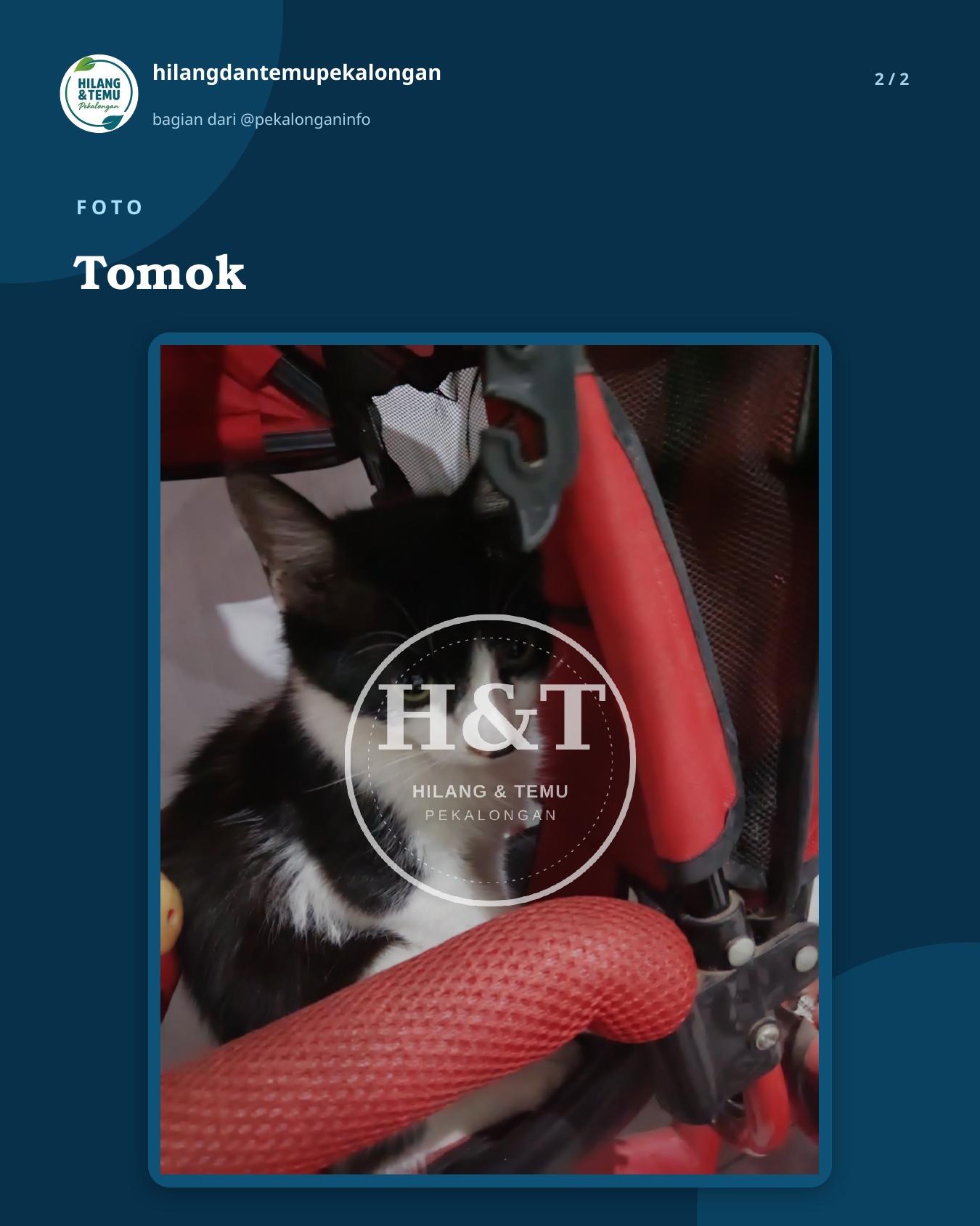 Slide 2 laporan Tomok