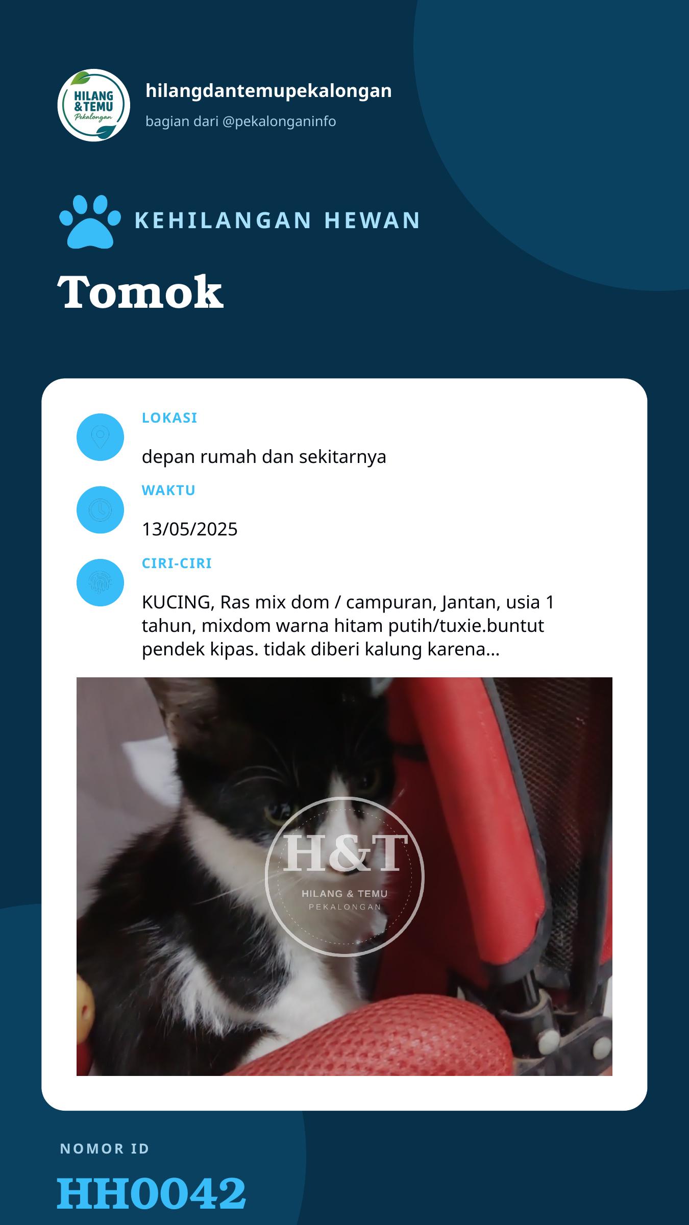 Story 9:16 laporan Tomok