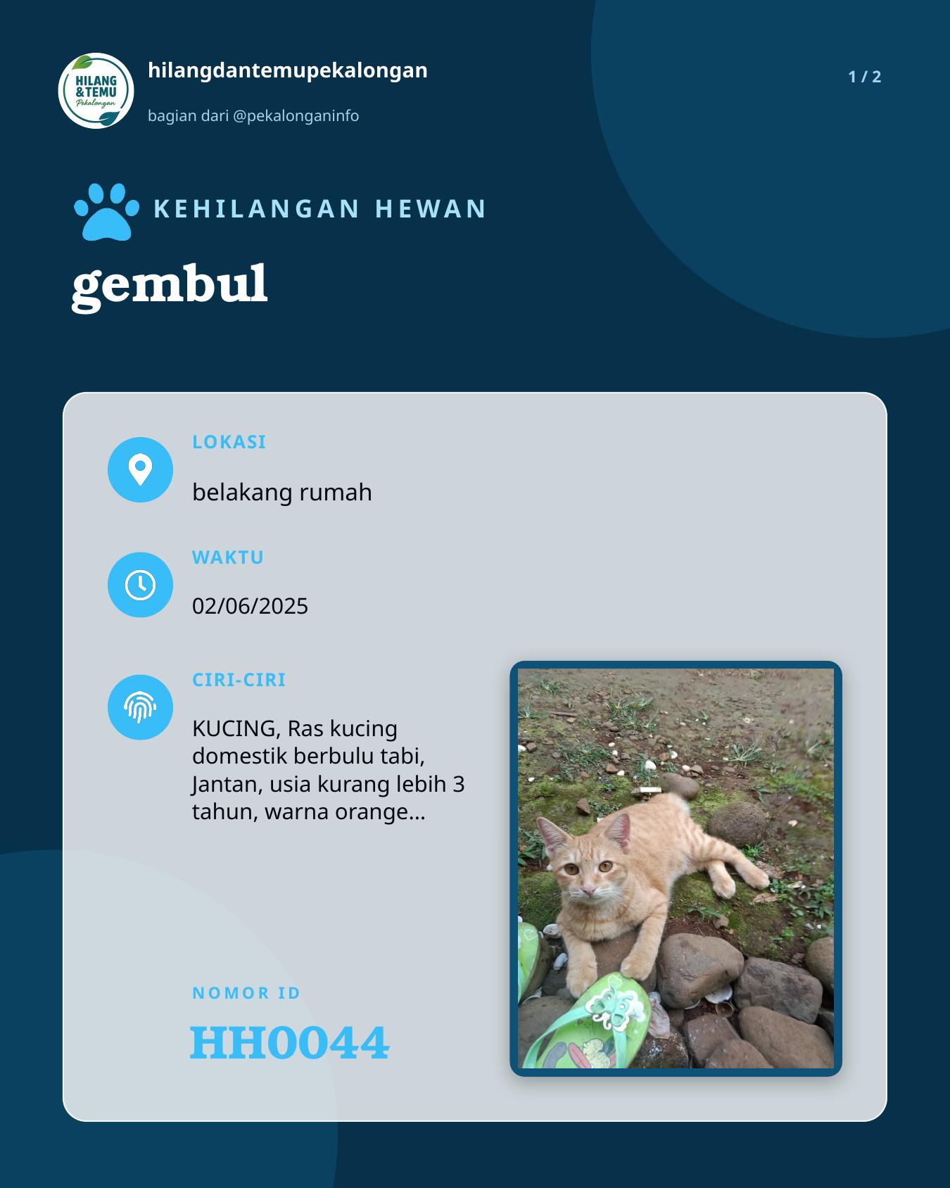 Slide 1 laporan gembul