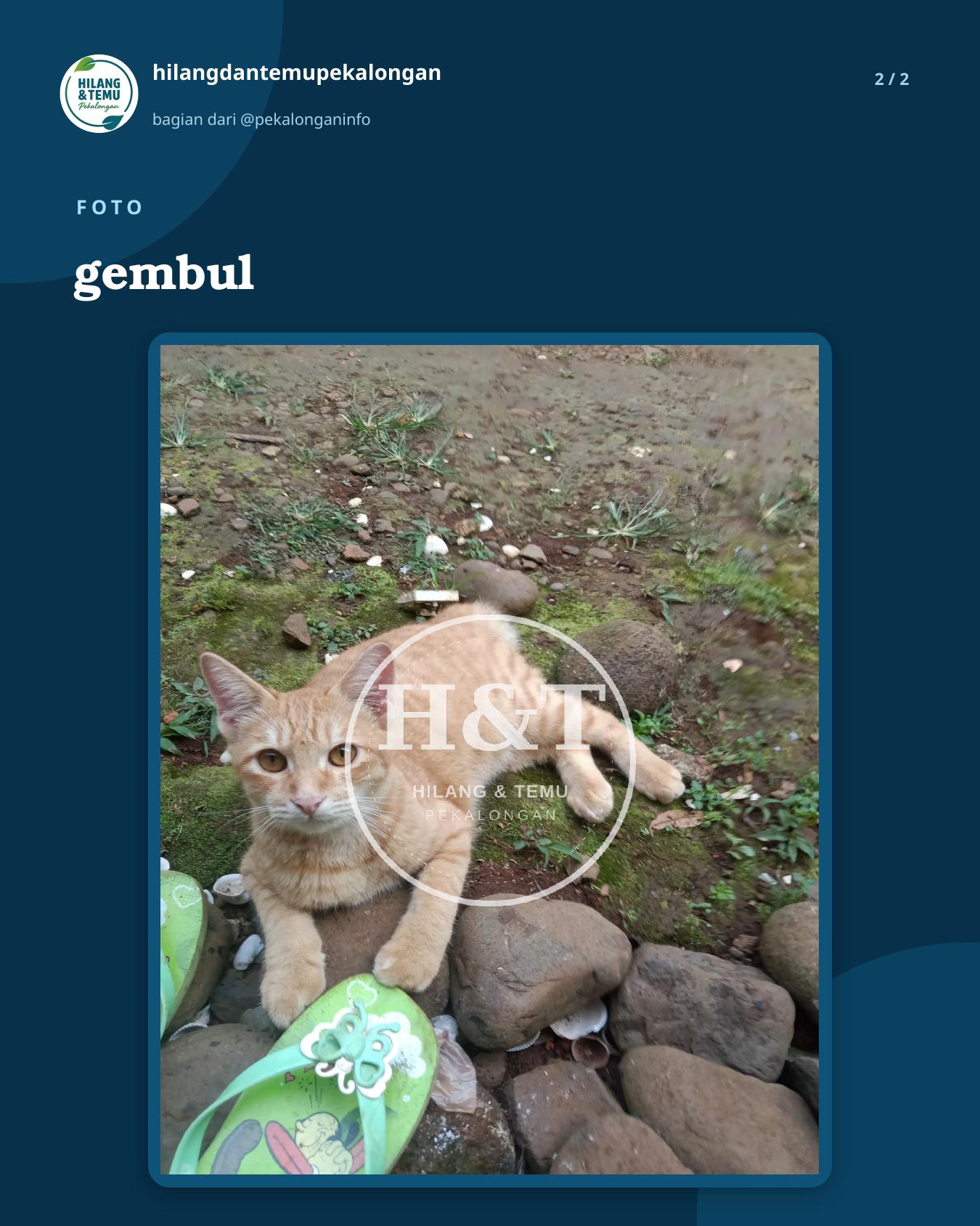 Slide 2 laporan gembul