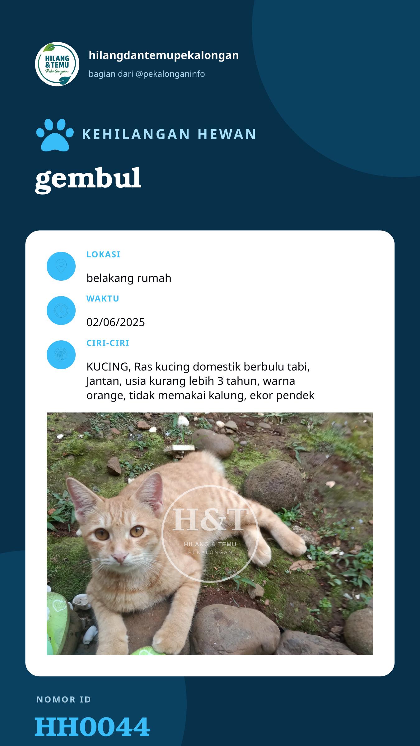 Story 9:16 laporan gembul
