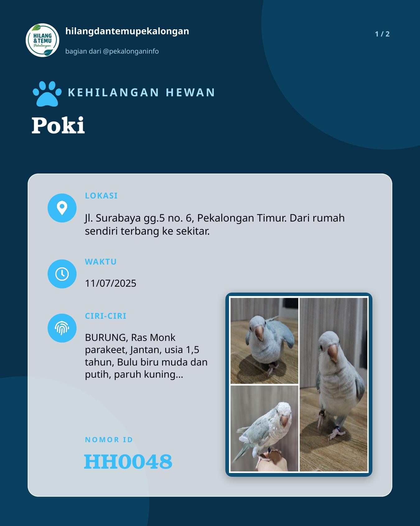 Slide 1 laporan Poki
