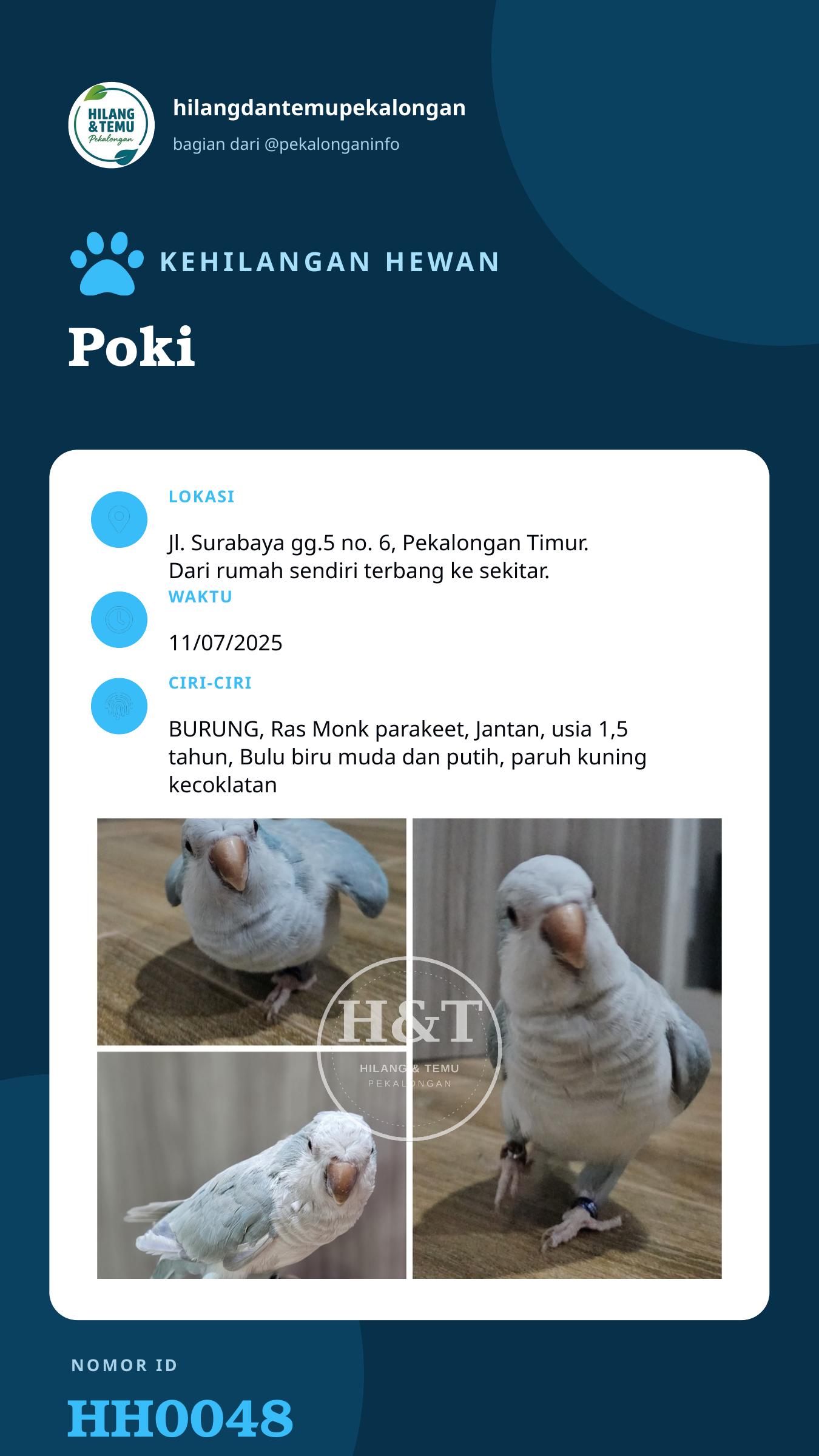 Story 9:16 laporan Poki