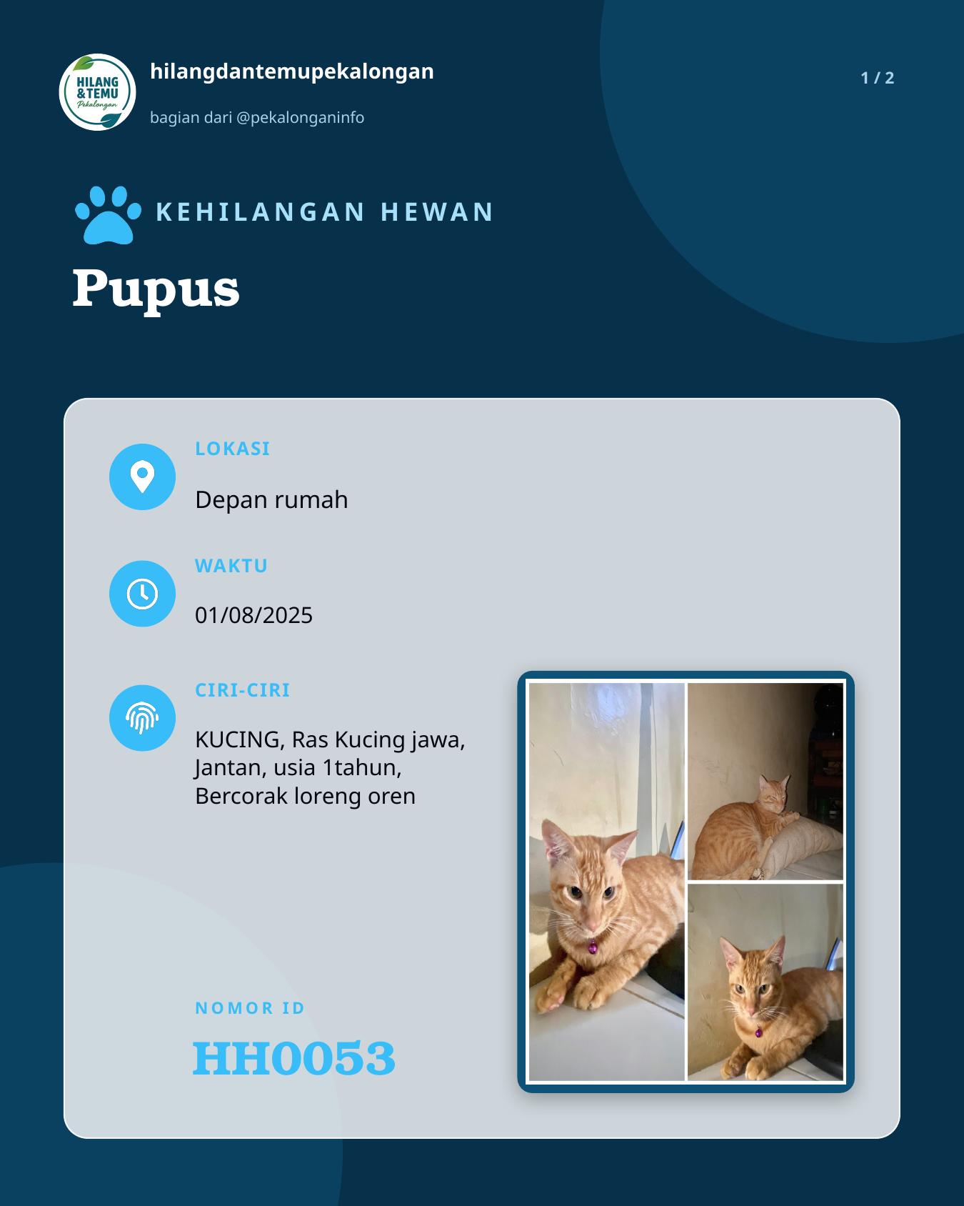 Slide 1 laporan Pupus