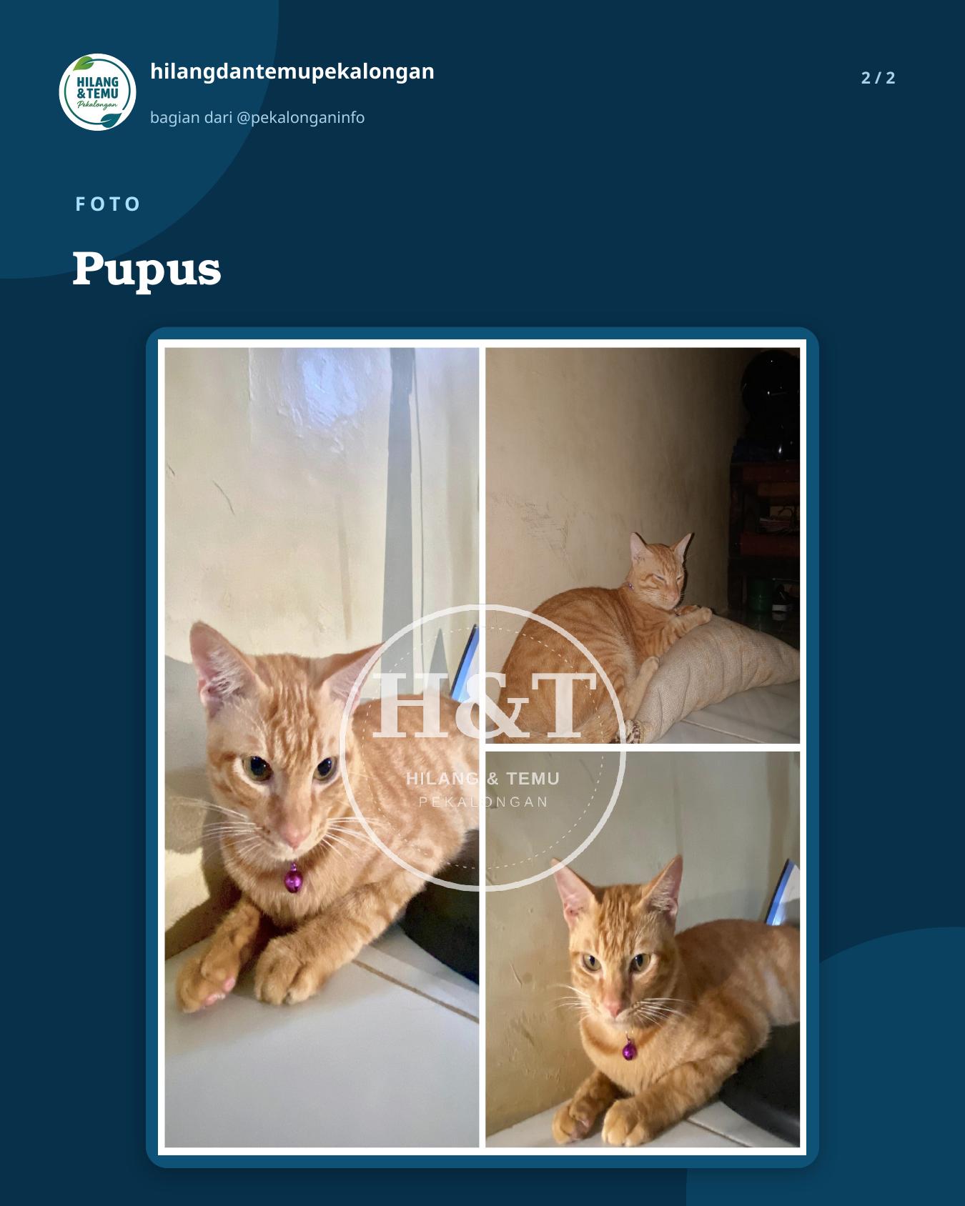 Slide 2 laporan Pupus