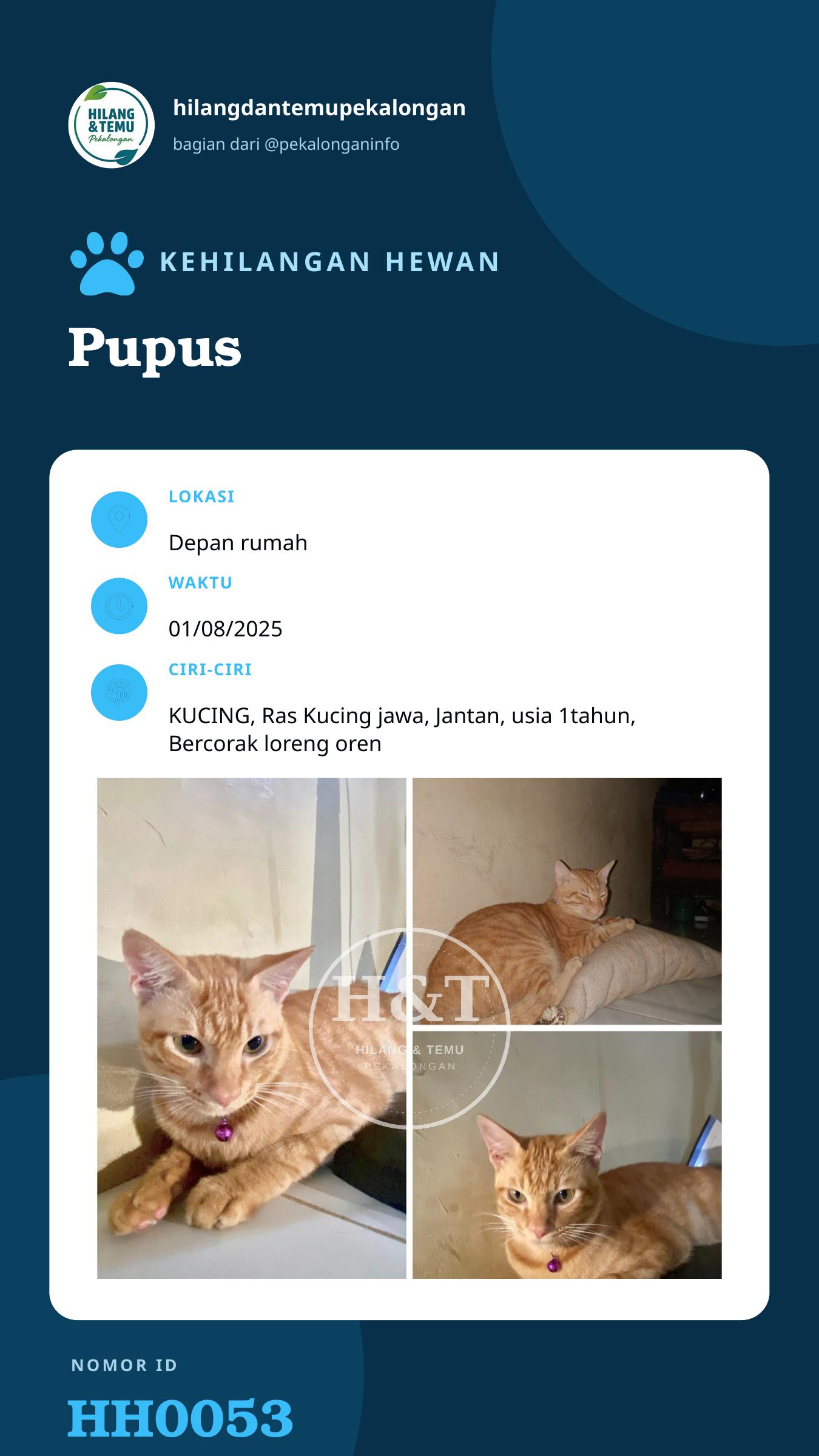 Story 9:16 laporan Pupus
