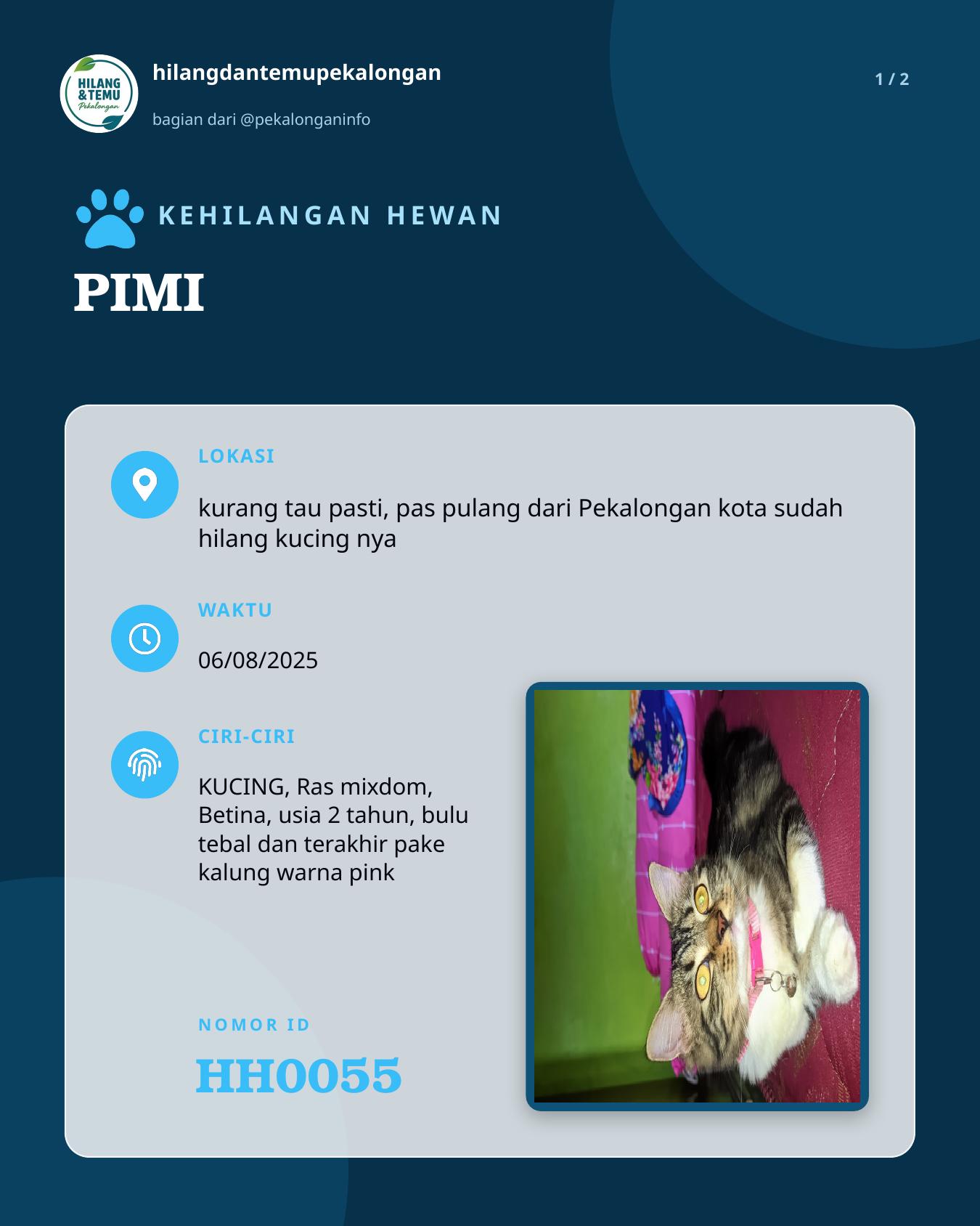 Slide 1 laporan PIMI