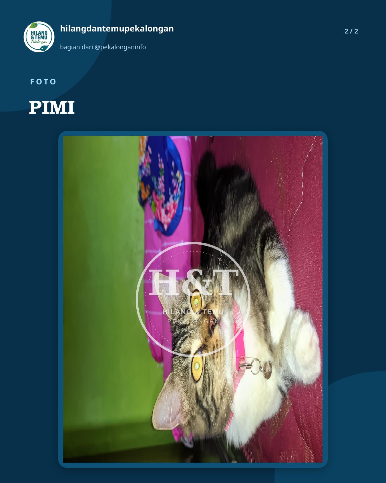 Slide 2 laporan PIMI