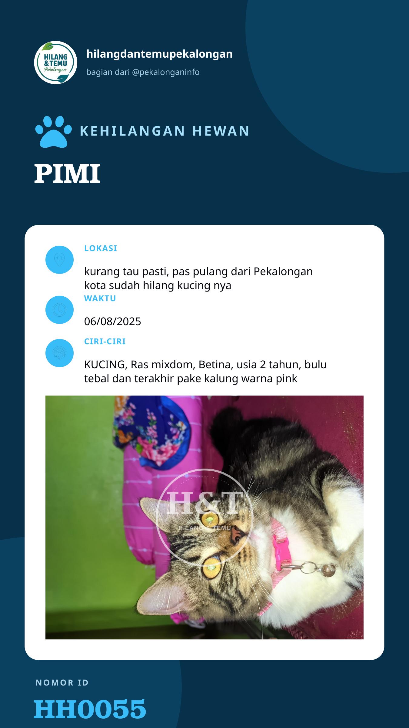 Story 9:16 laporan PIMI