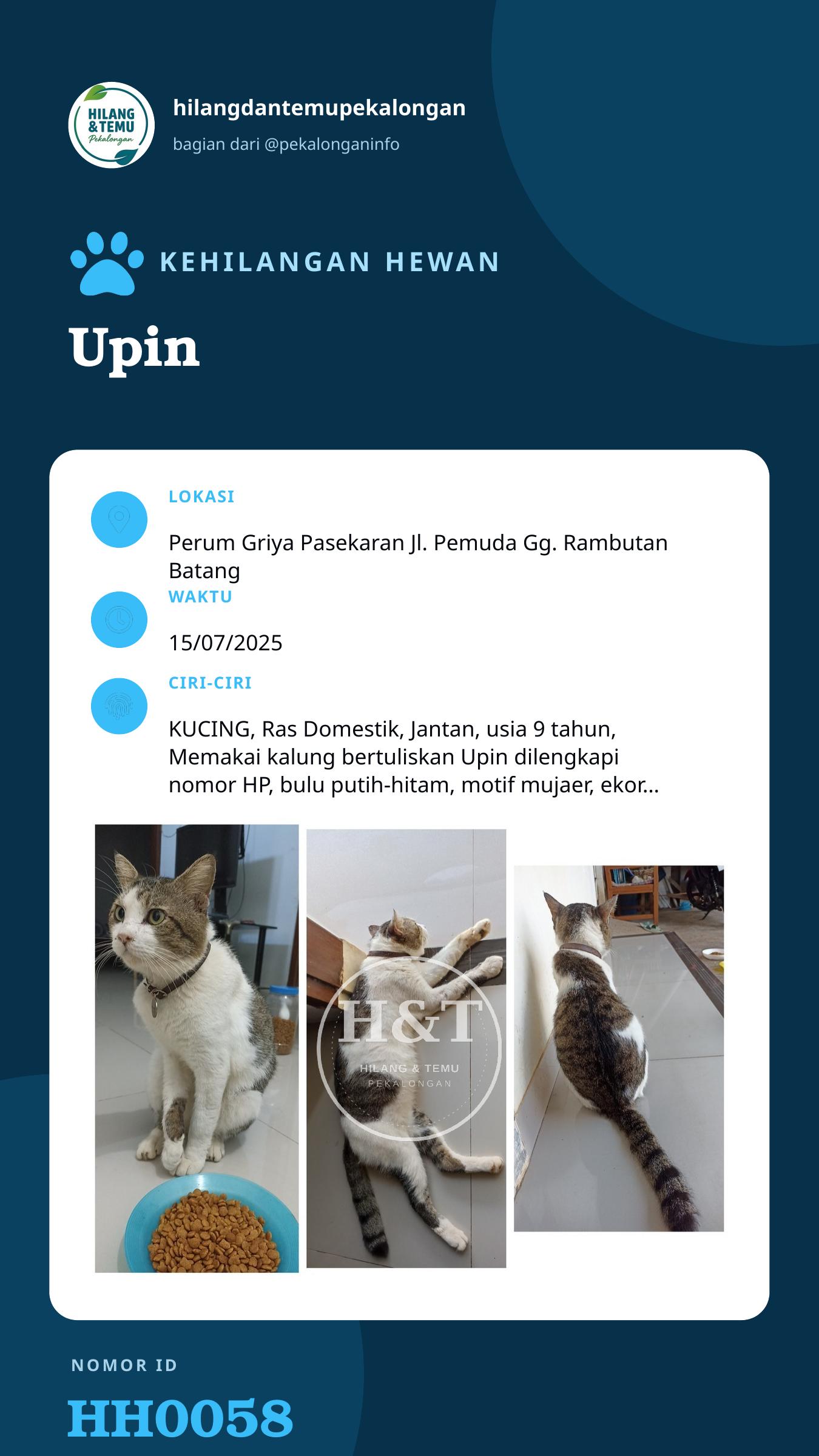 Story 9:16 laporan Upin