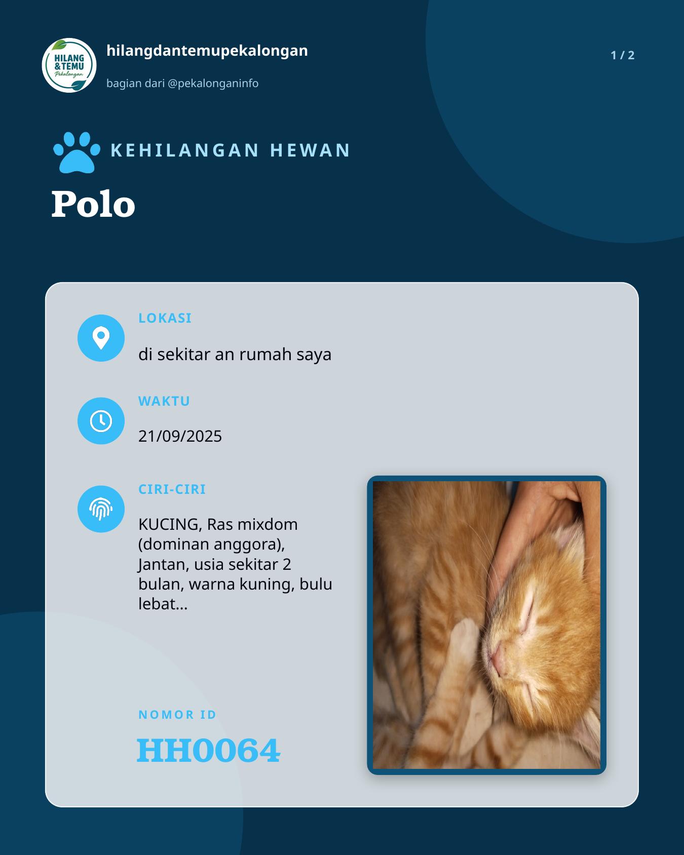 Slide 1 laporan Polo