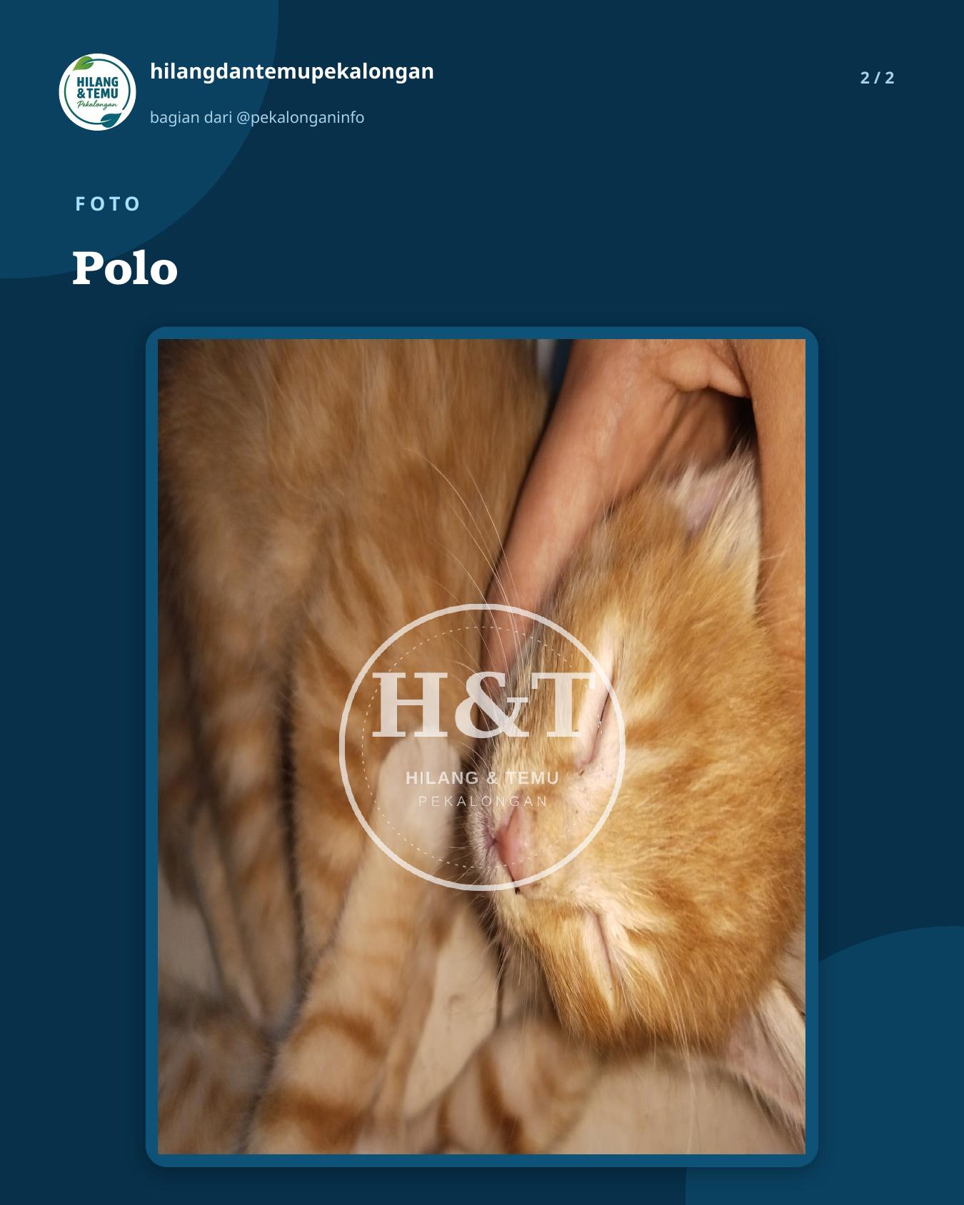Slide 2 laporan Polo