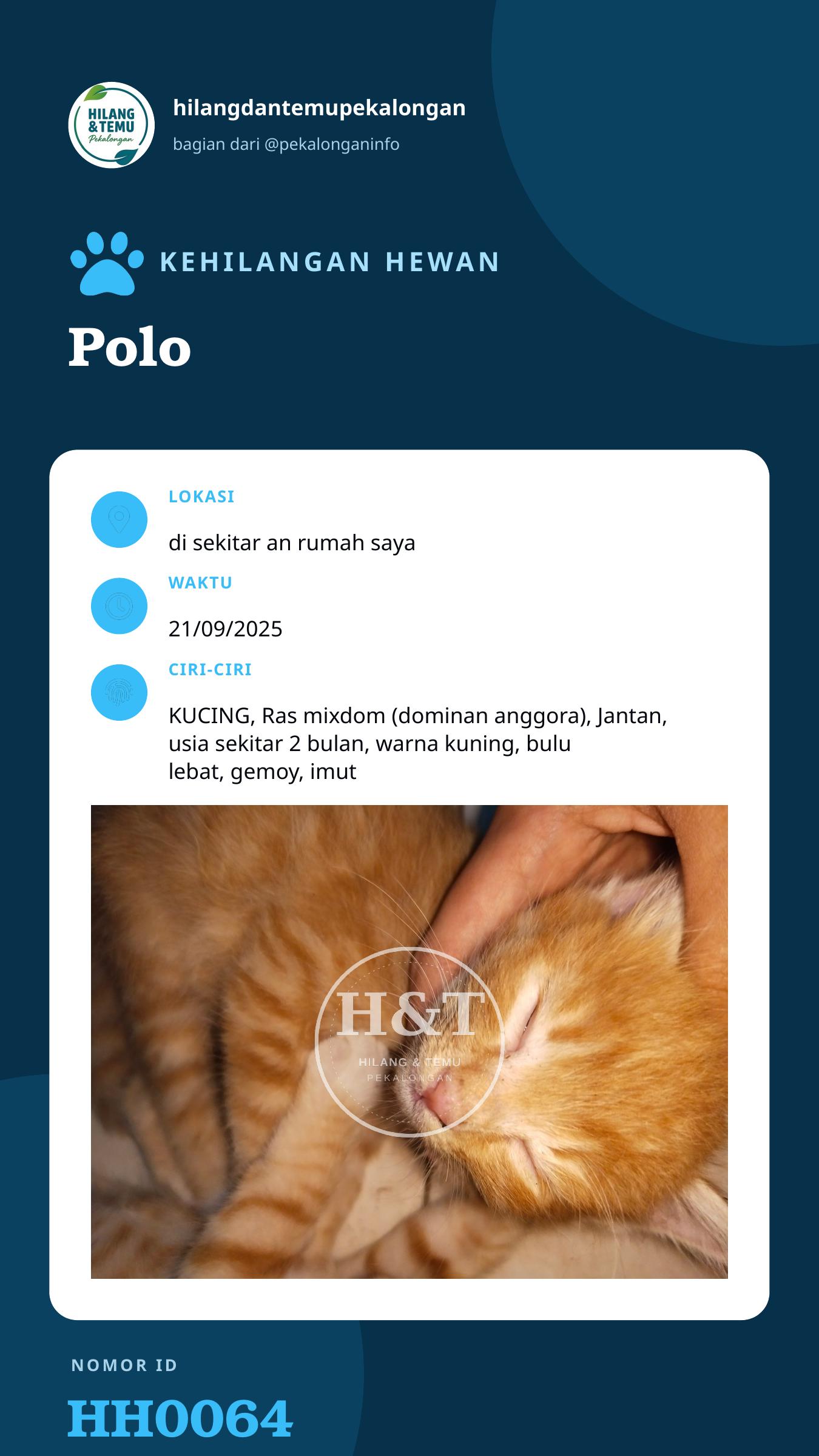 Story 9:16 laporan Polo