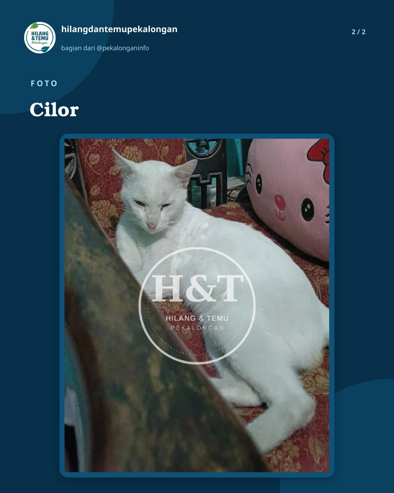 Slide 2 laporan Cilor