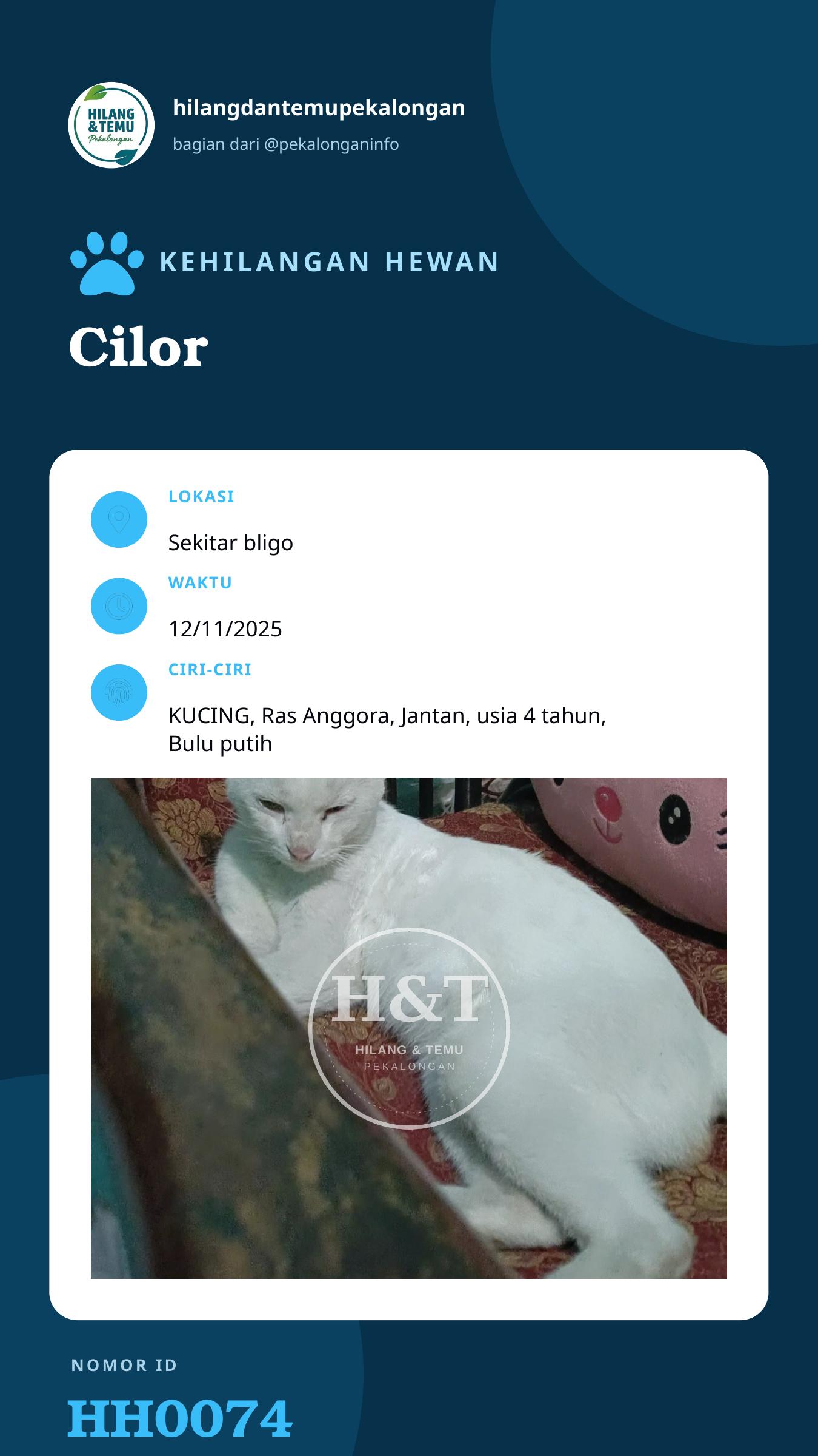 Story 9:16 laporan Cilor