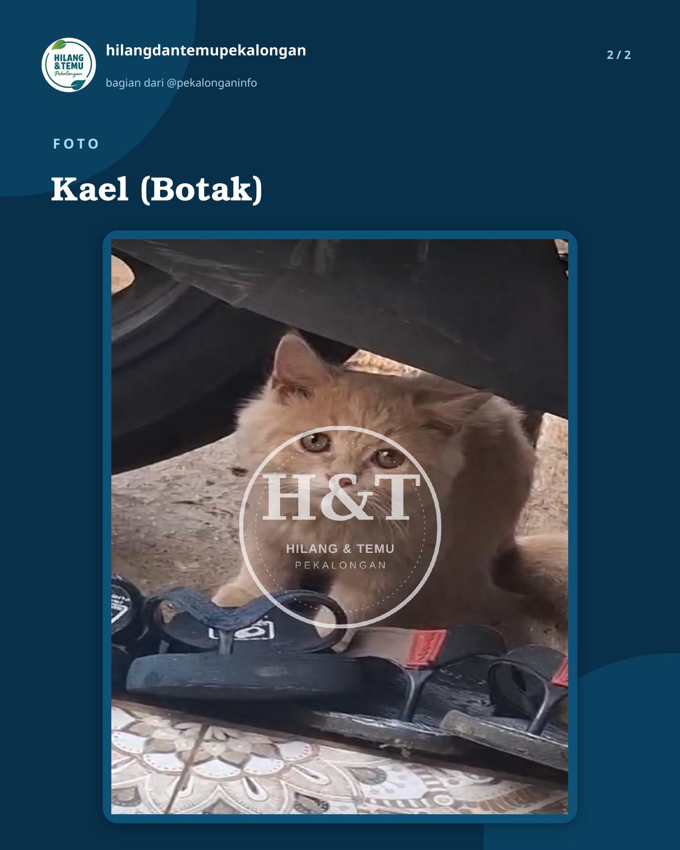 Slide 2 laporan Kael (Botak)