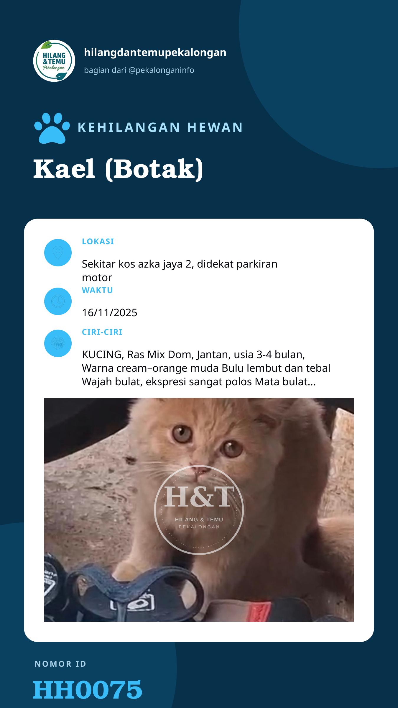 Story 9:16 laporan Kael (Botak)