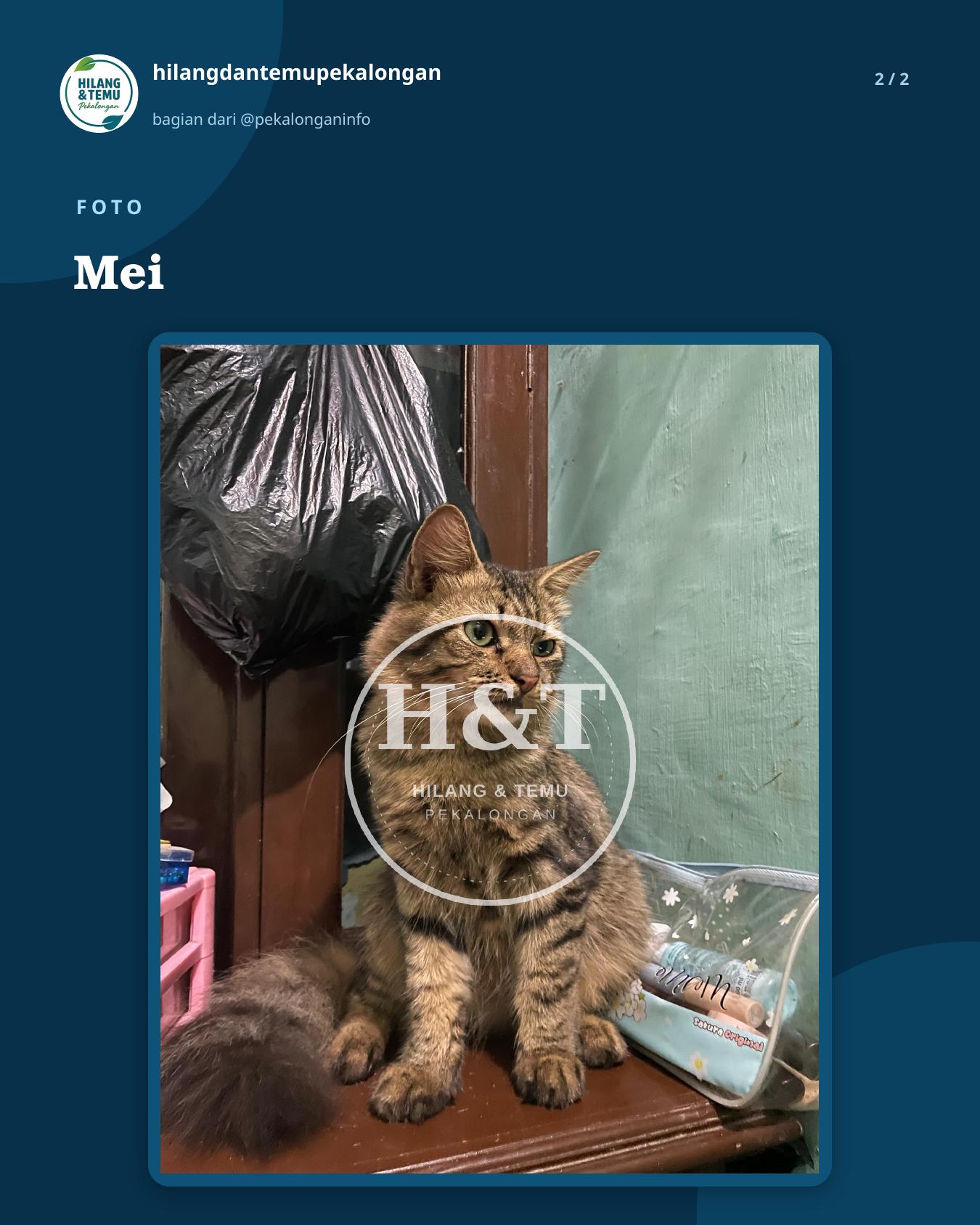 Slide 2 laporan Mei