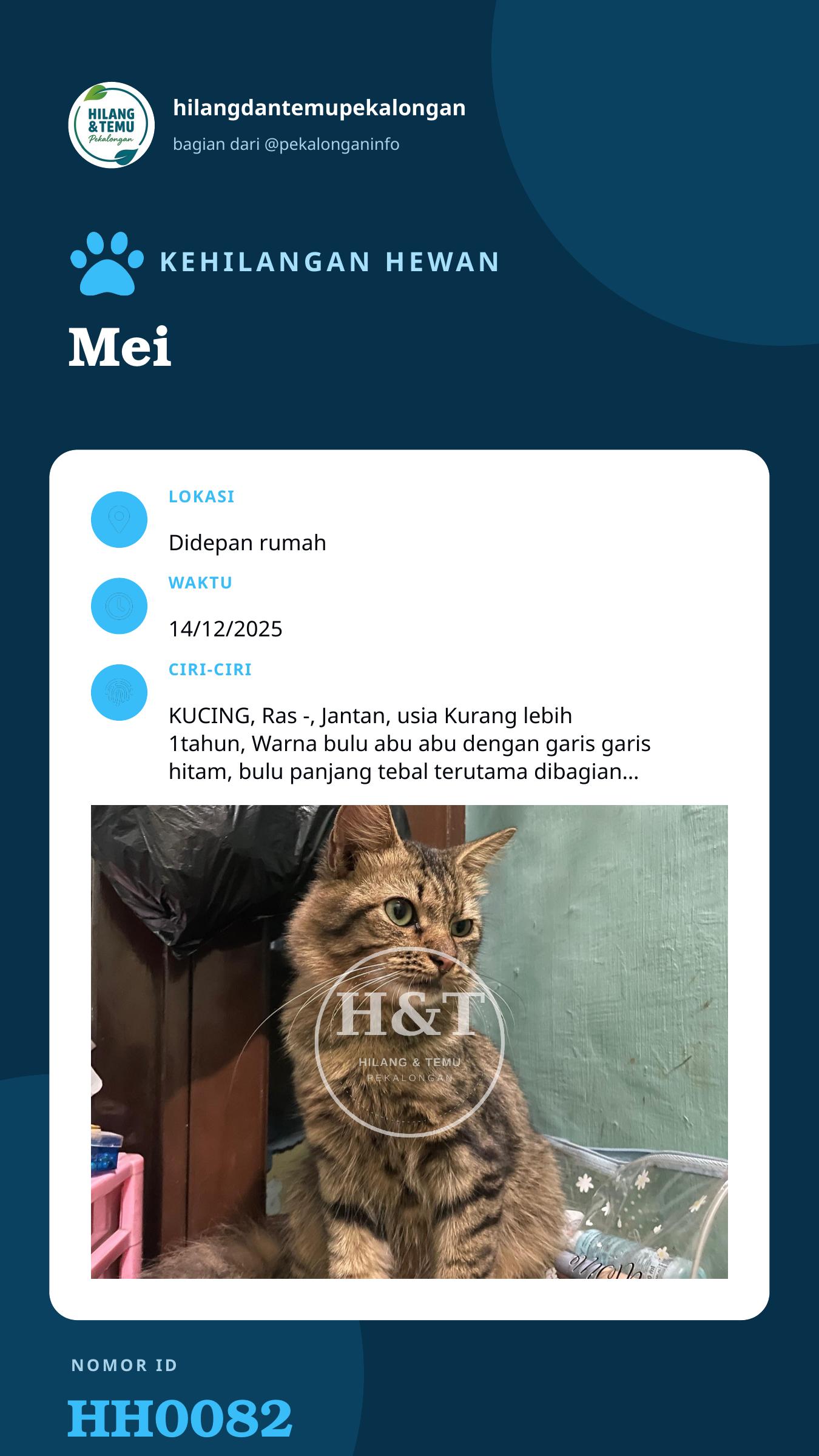 Story 9:16 laporan Mei