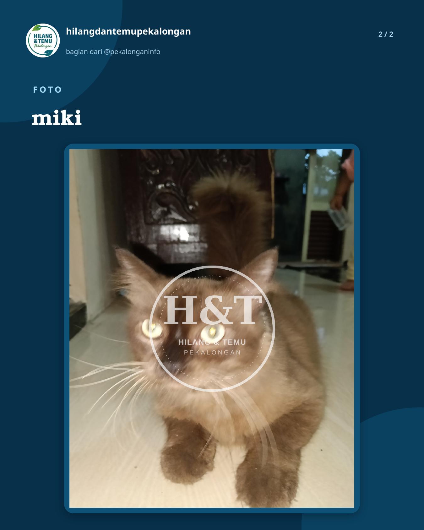 Slide 2 laporan miki