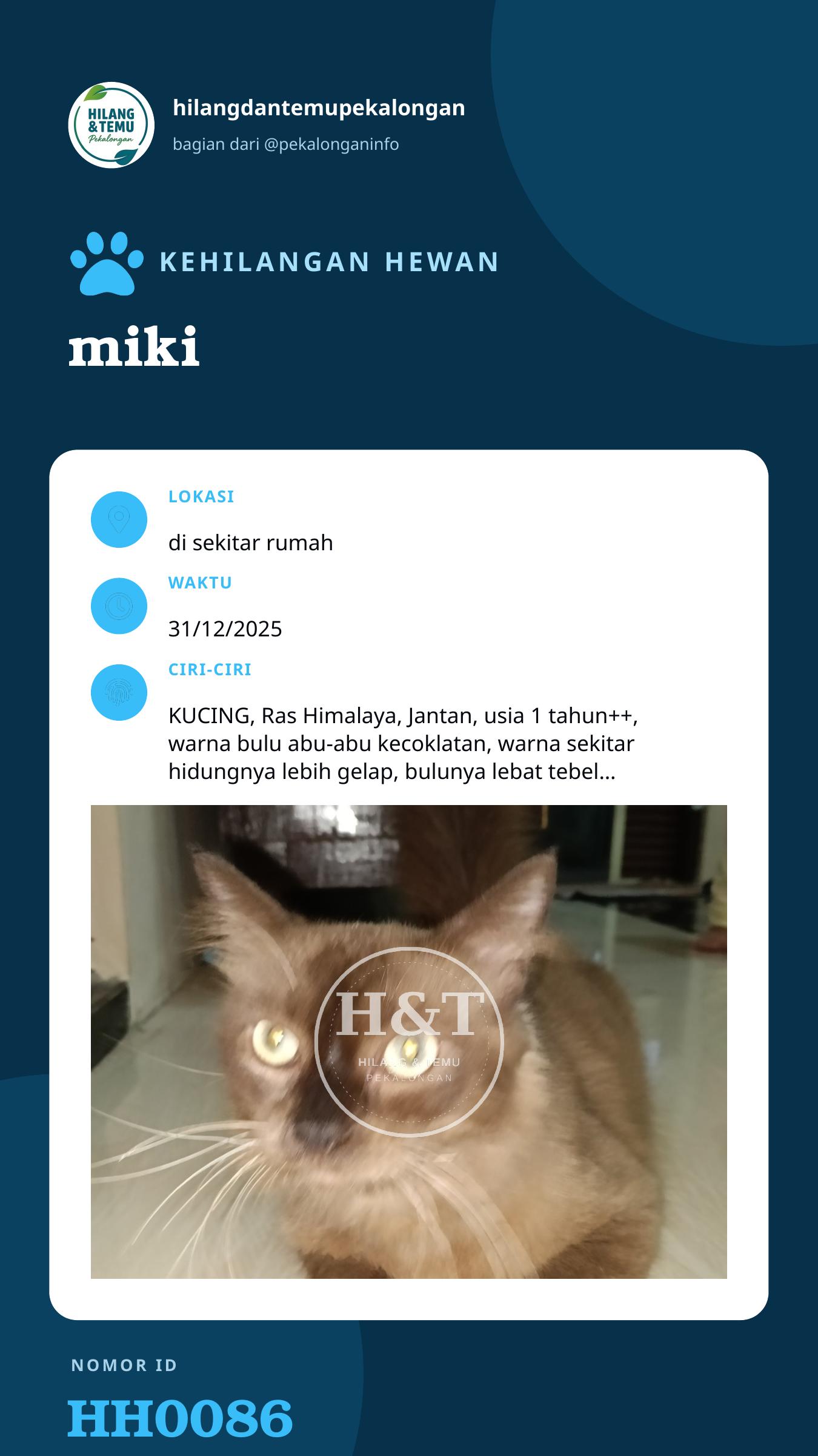 Story 9:16 laporan miki