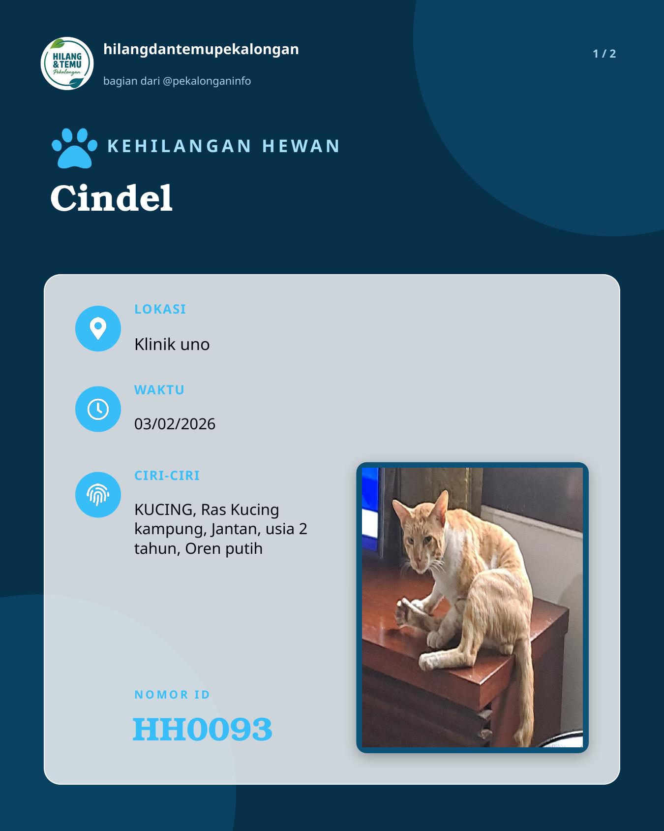 Slide 1 laporan Cindel