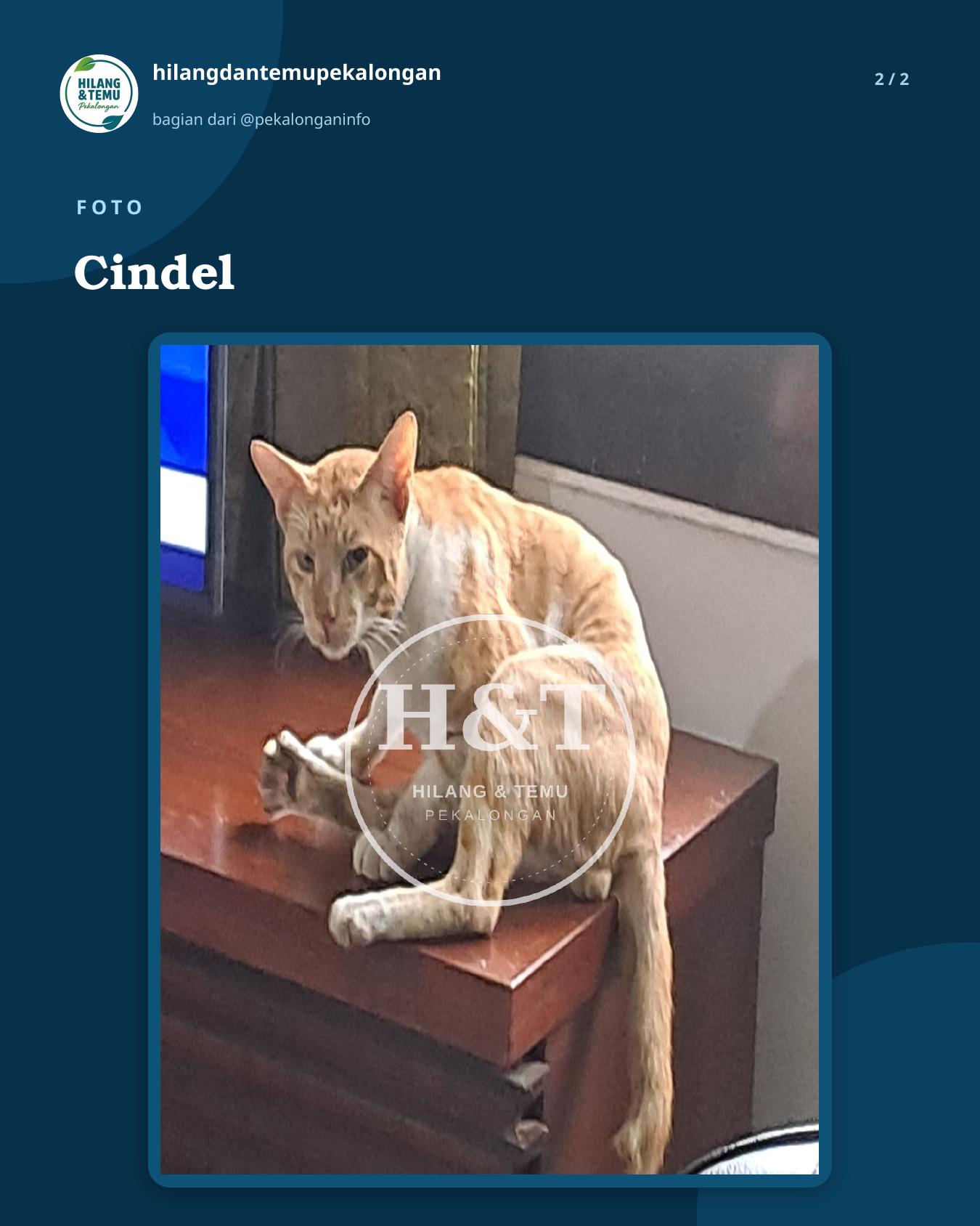 Slide 2 laporan Cindel