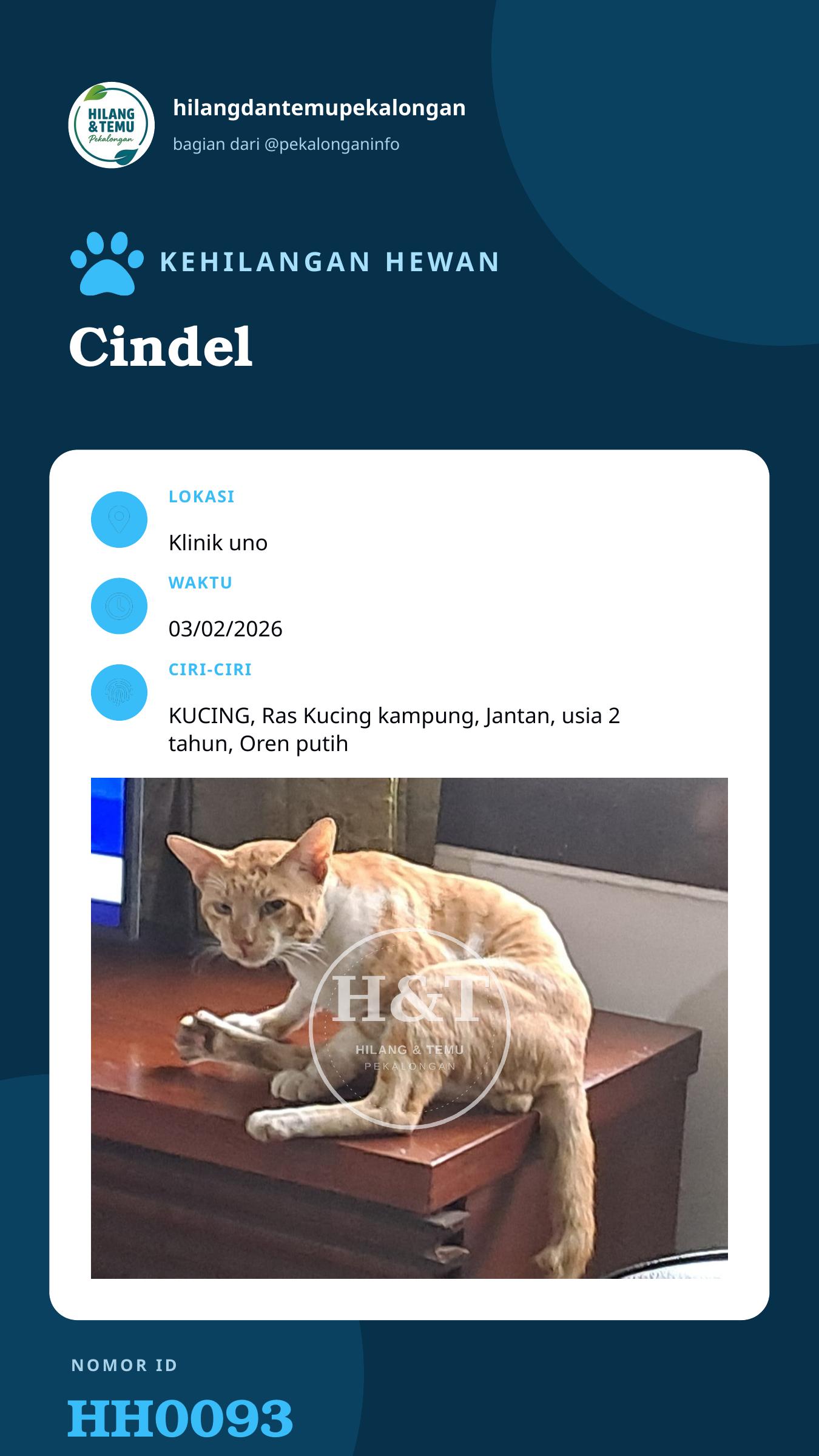 Story 9:16 laporan Cindel