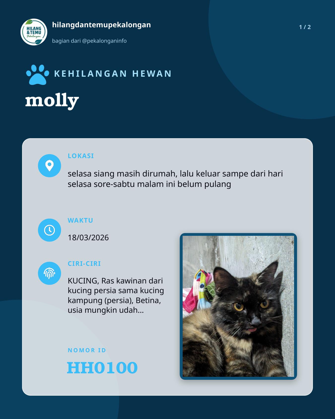 Slide 1 laporan molly