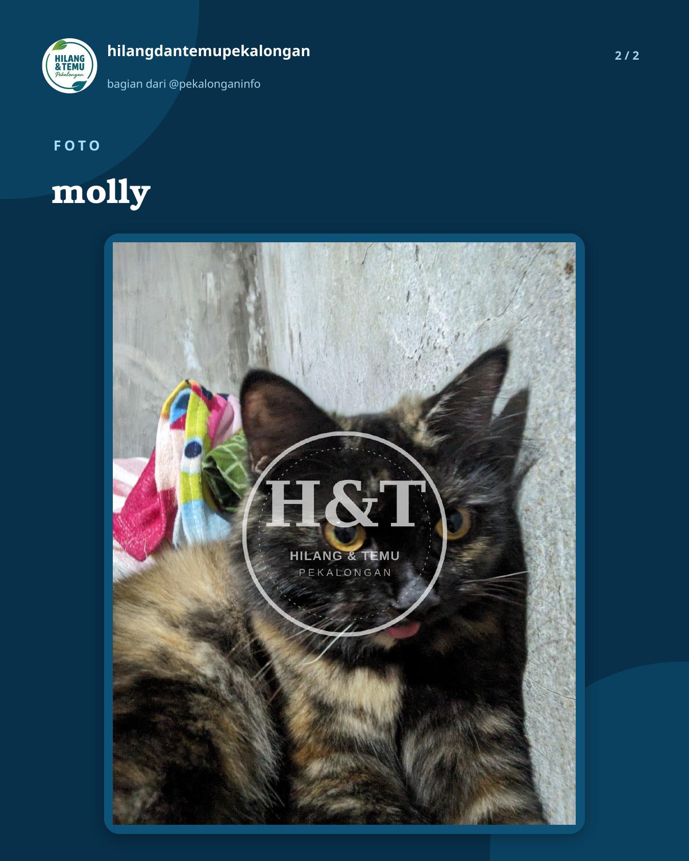 Slide 2 laporan molly