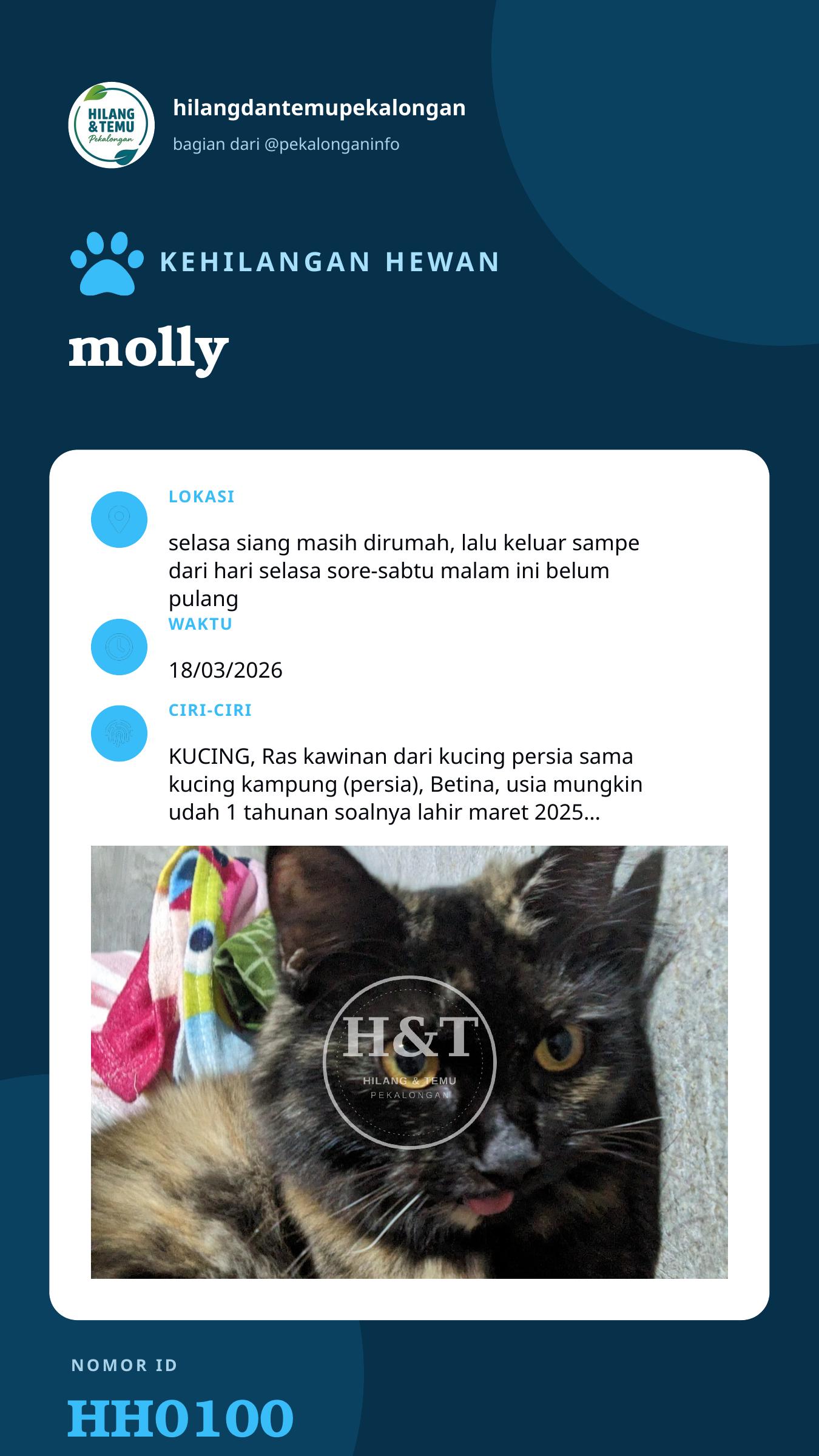 Story 9:16 laporan molly