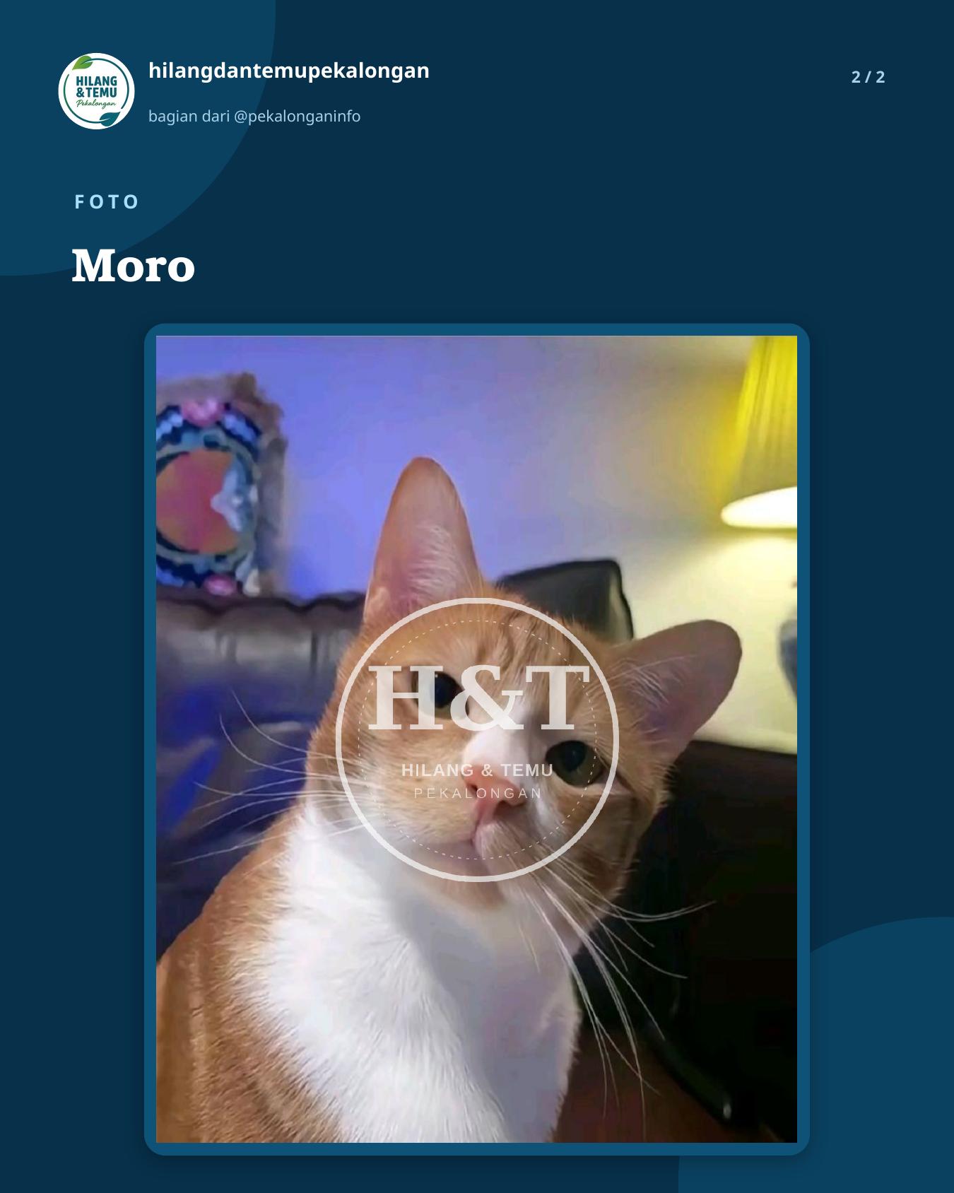 Slide 2 laporan Moro