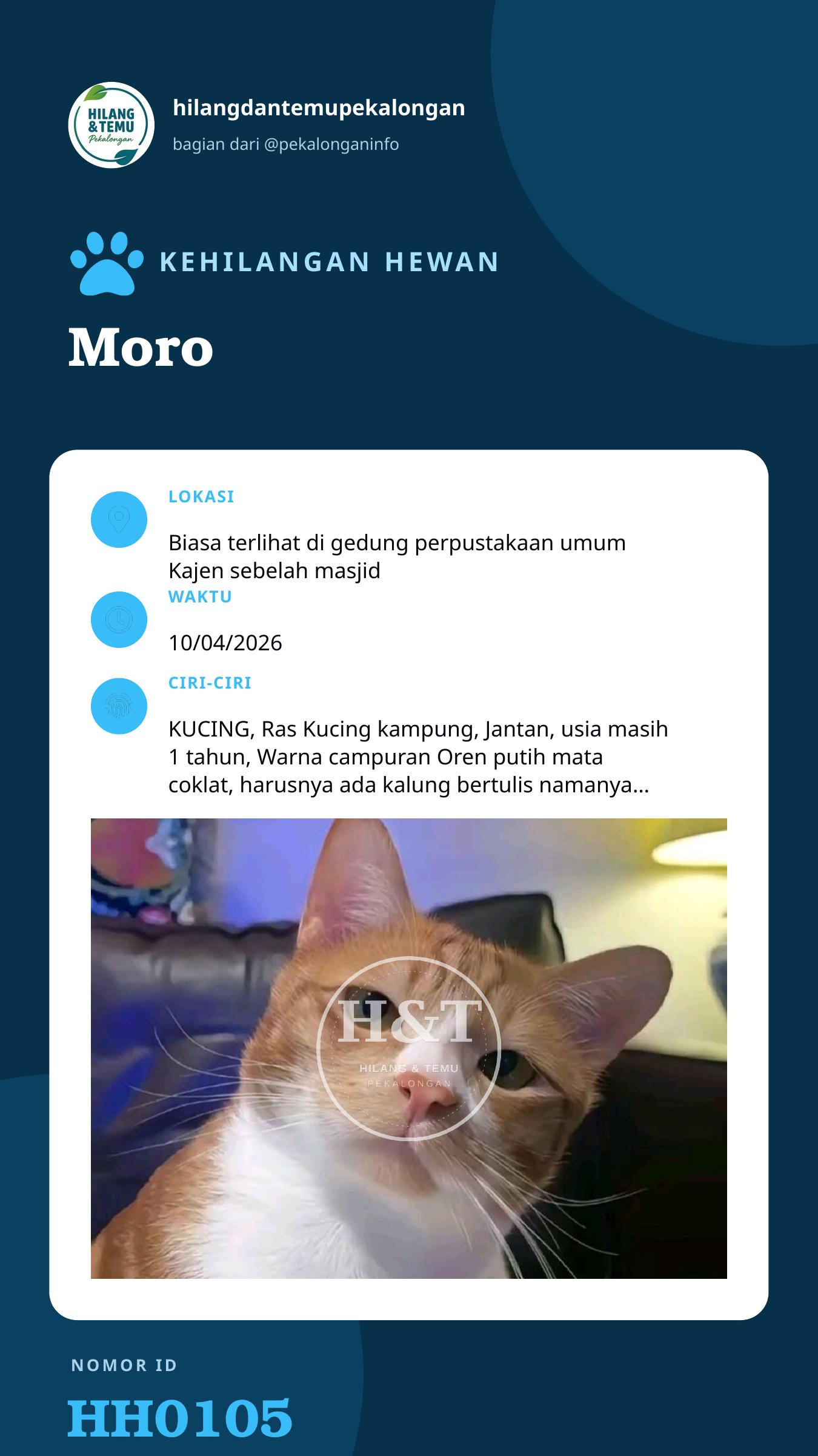 Story 9:16 laporan Moro