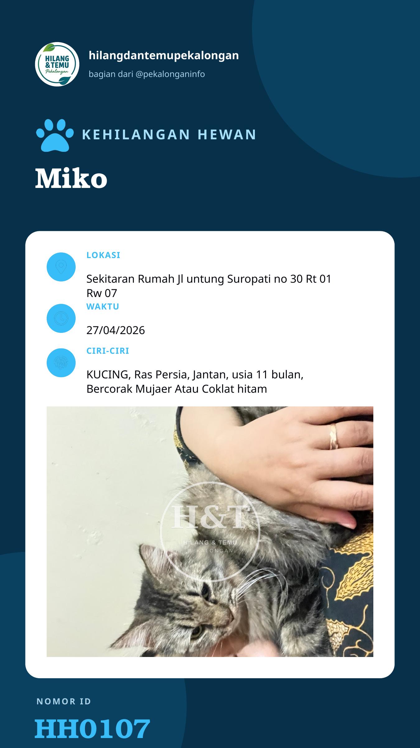 Story 9:16 laporan Miko