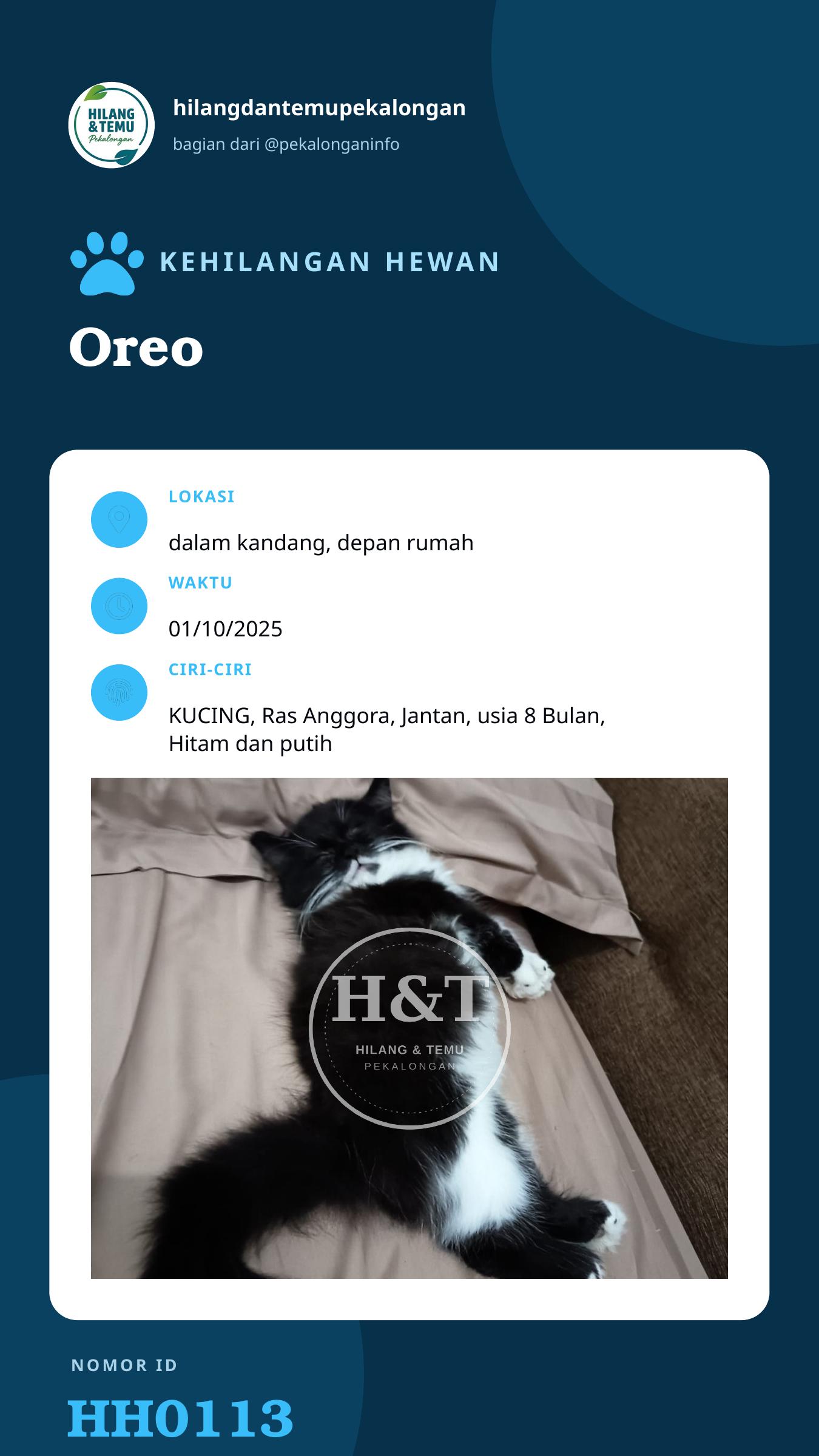 Story 9:16 laporan Oreo