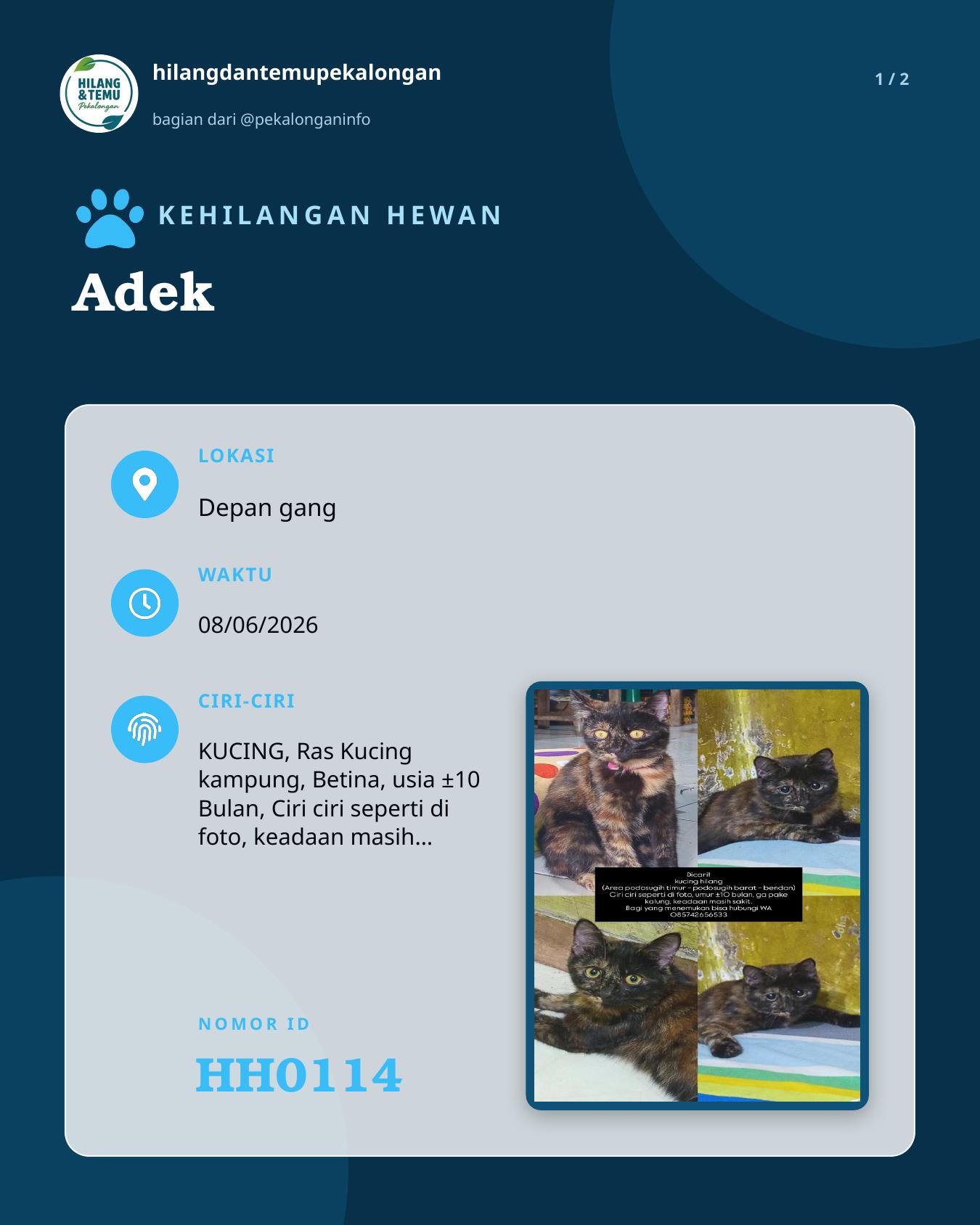 Slide 1 laporan Adek
