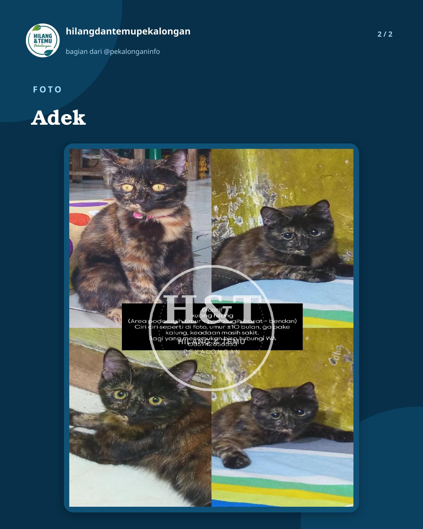 Slide 2 laporan Adek