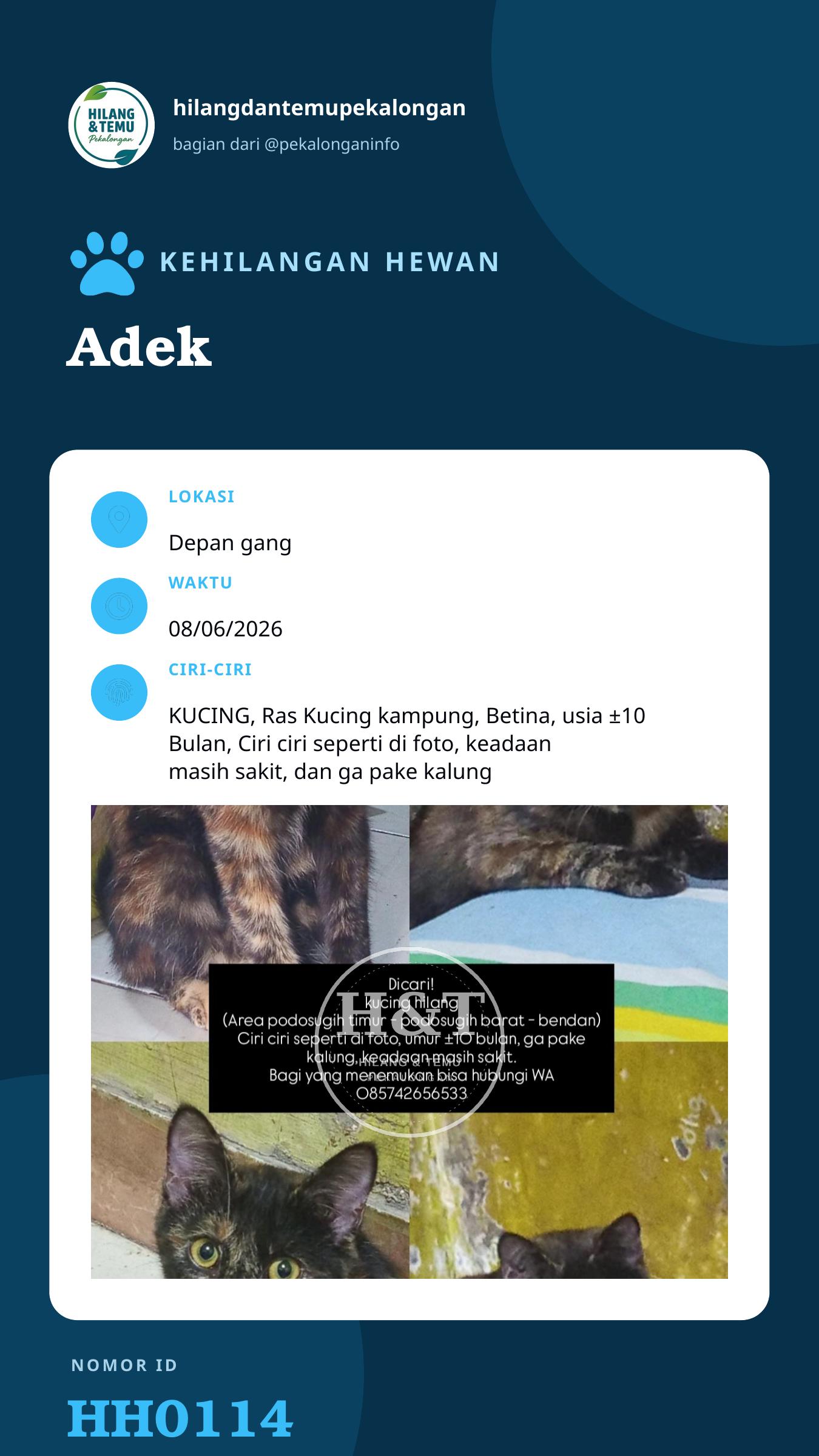 Story 9:16 laporan Adek