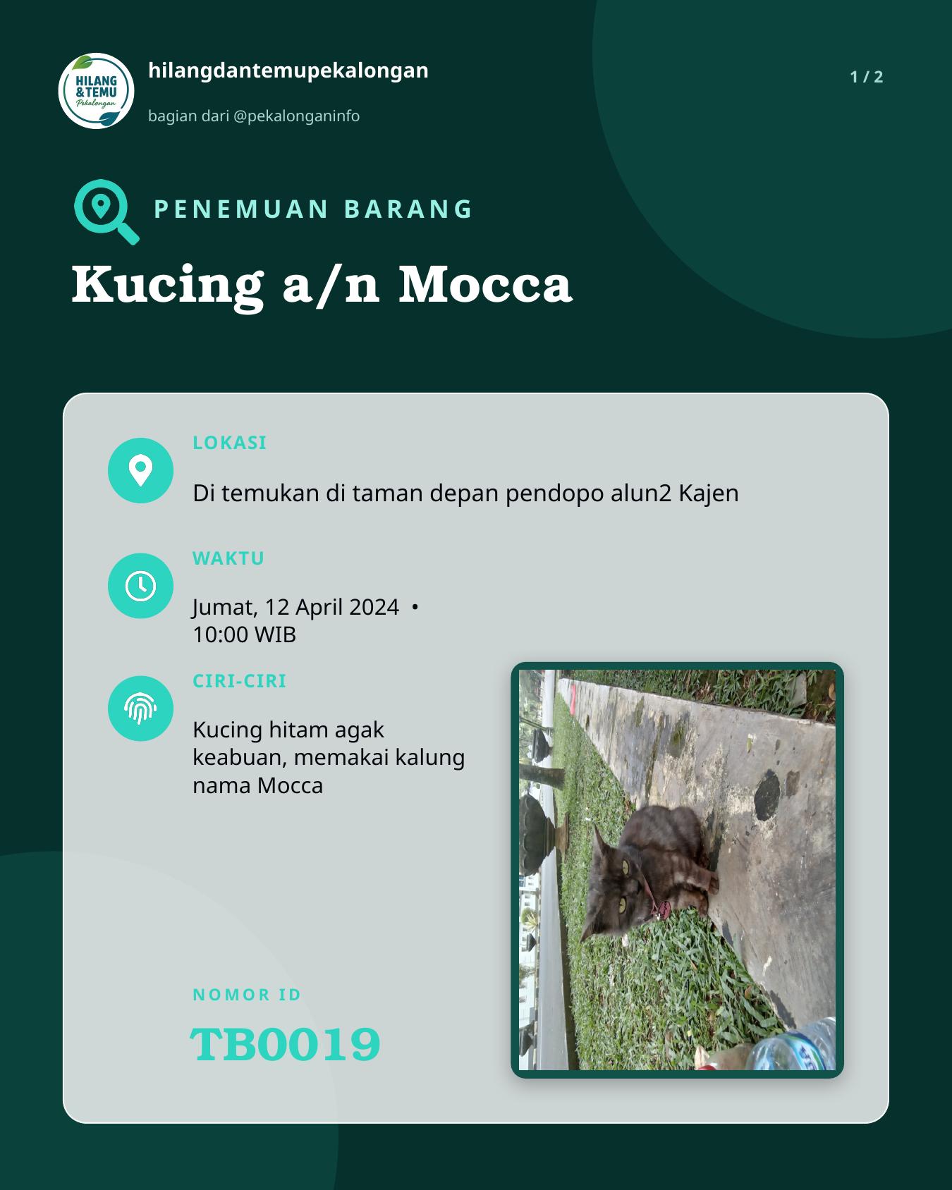 Slide 1 laporan Kucing a/n Mocca