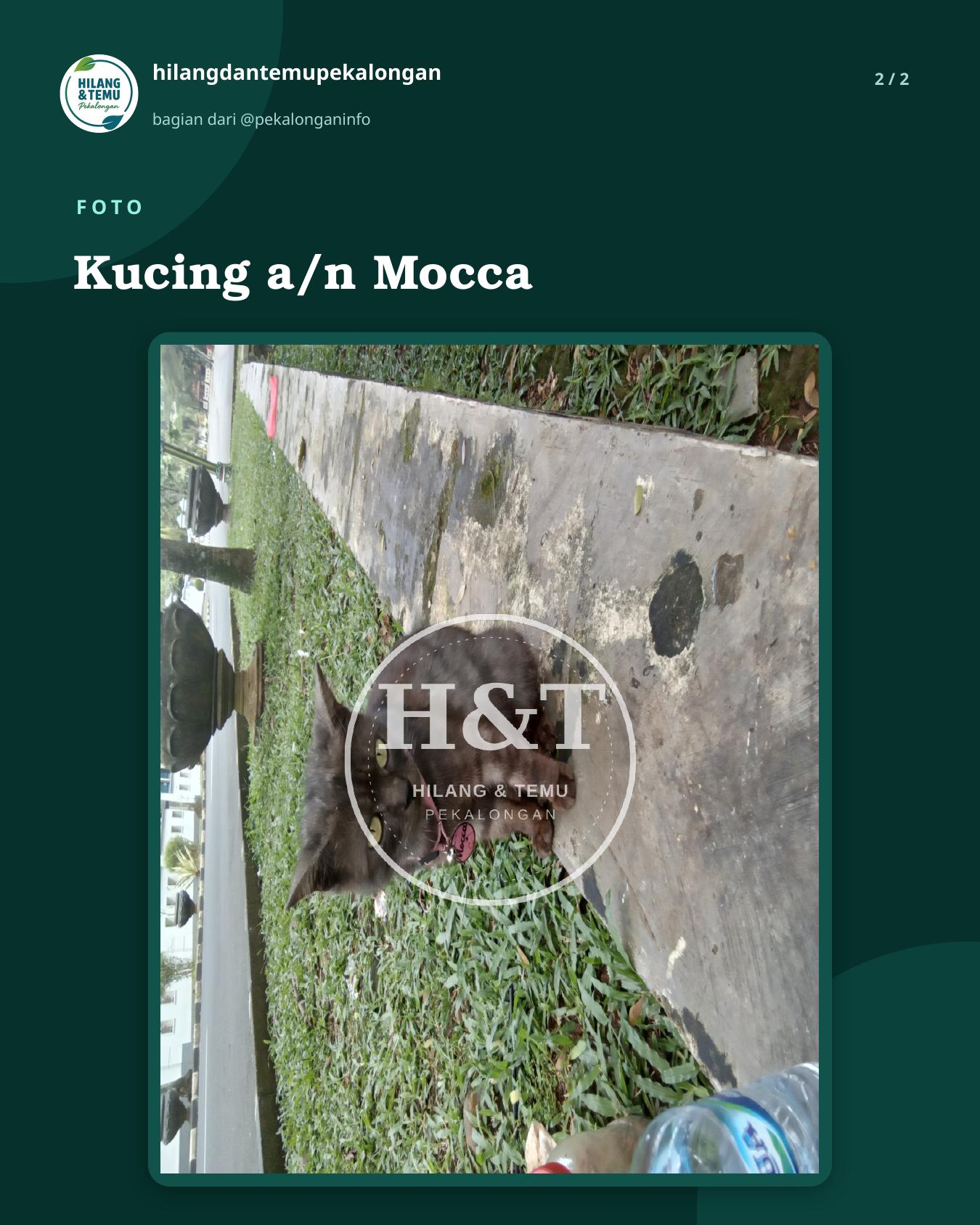 Slide 2 laporan Kucing a/n Mocca