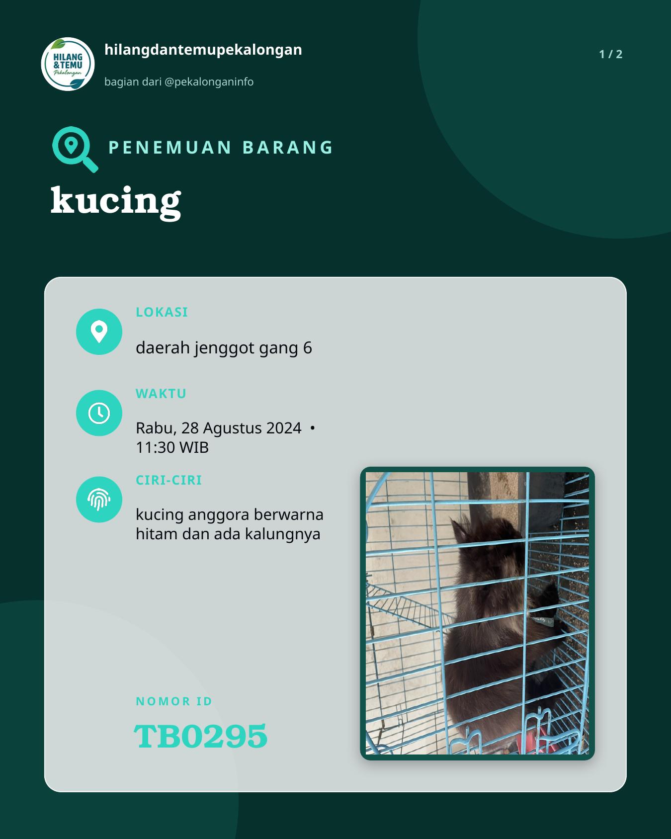 Slide 1 laporan kucing