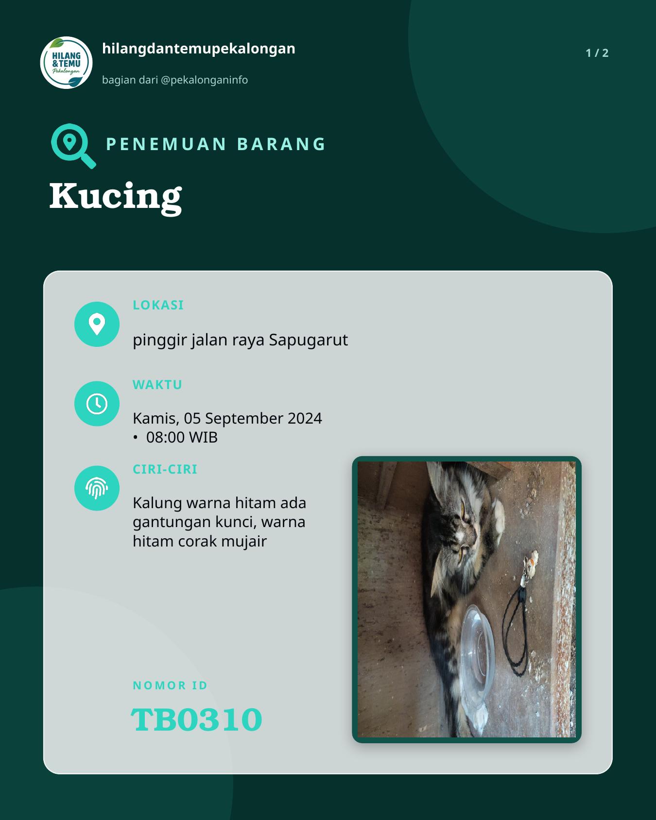 Slide 1 laporan Kucing