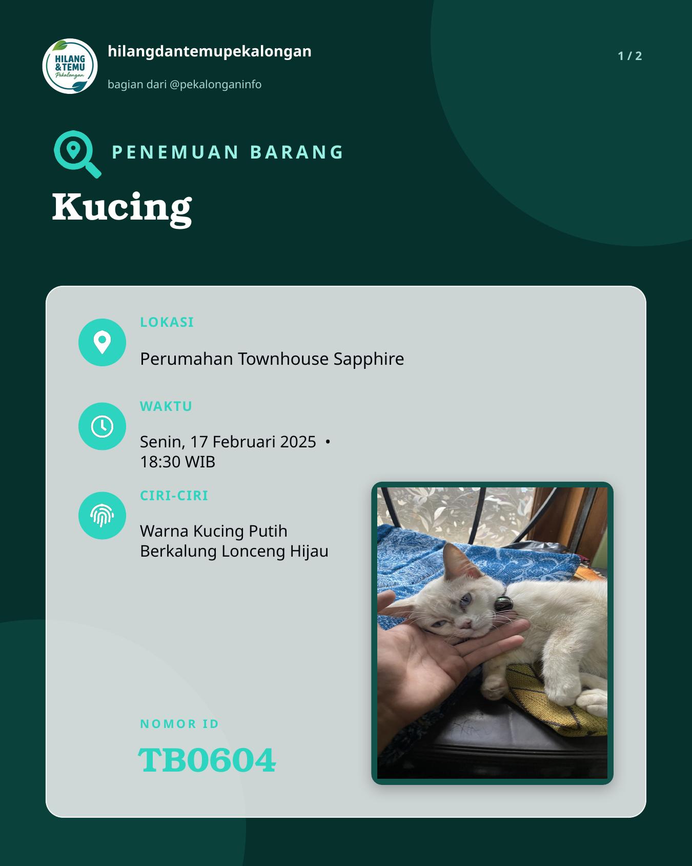 Slide 1 laporan Kucing