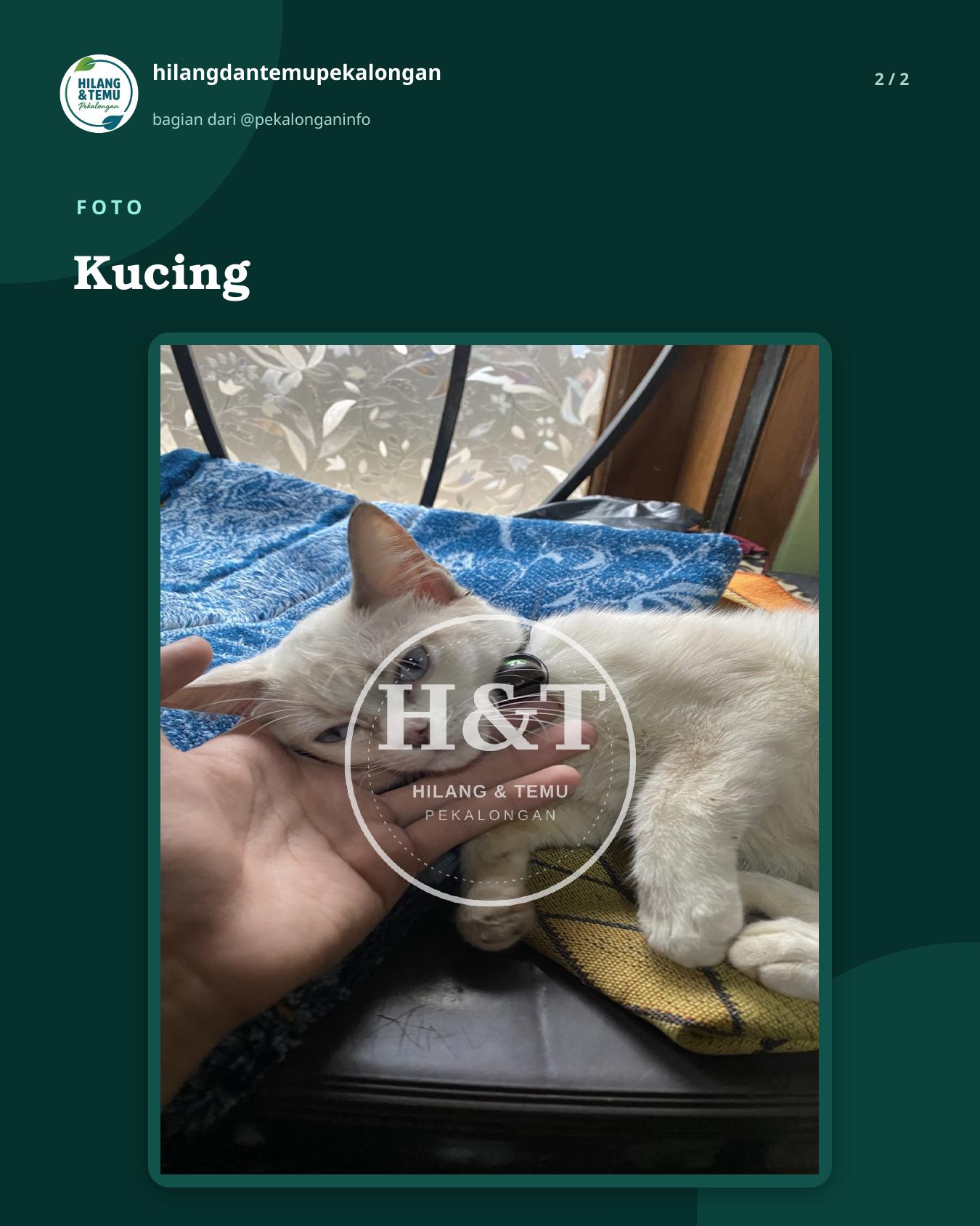 Slide 2 laporan Kucing