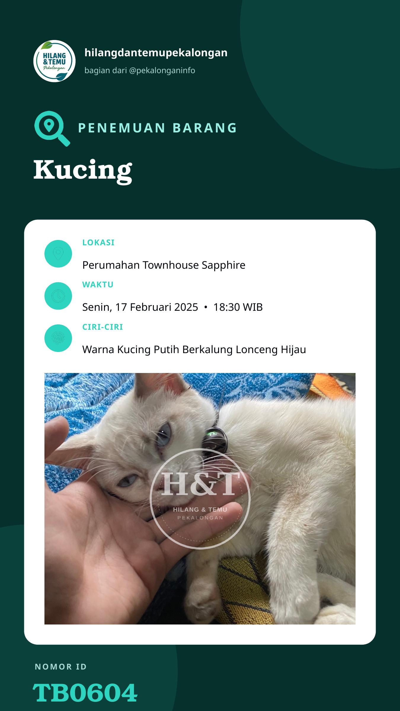 Story 9:16 laporan Kucing
