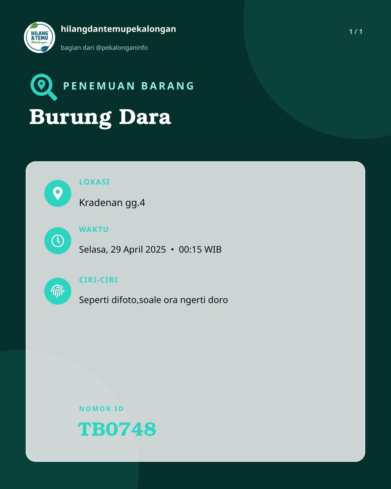 Slide laporan Burung Dara (TB0748)