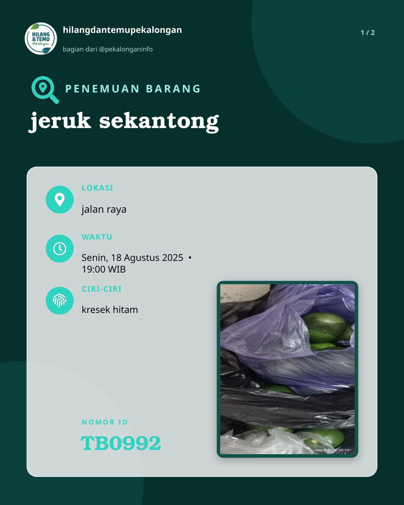 Slide 1 laporan jeruk sekantong