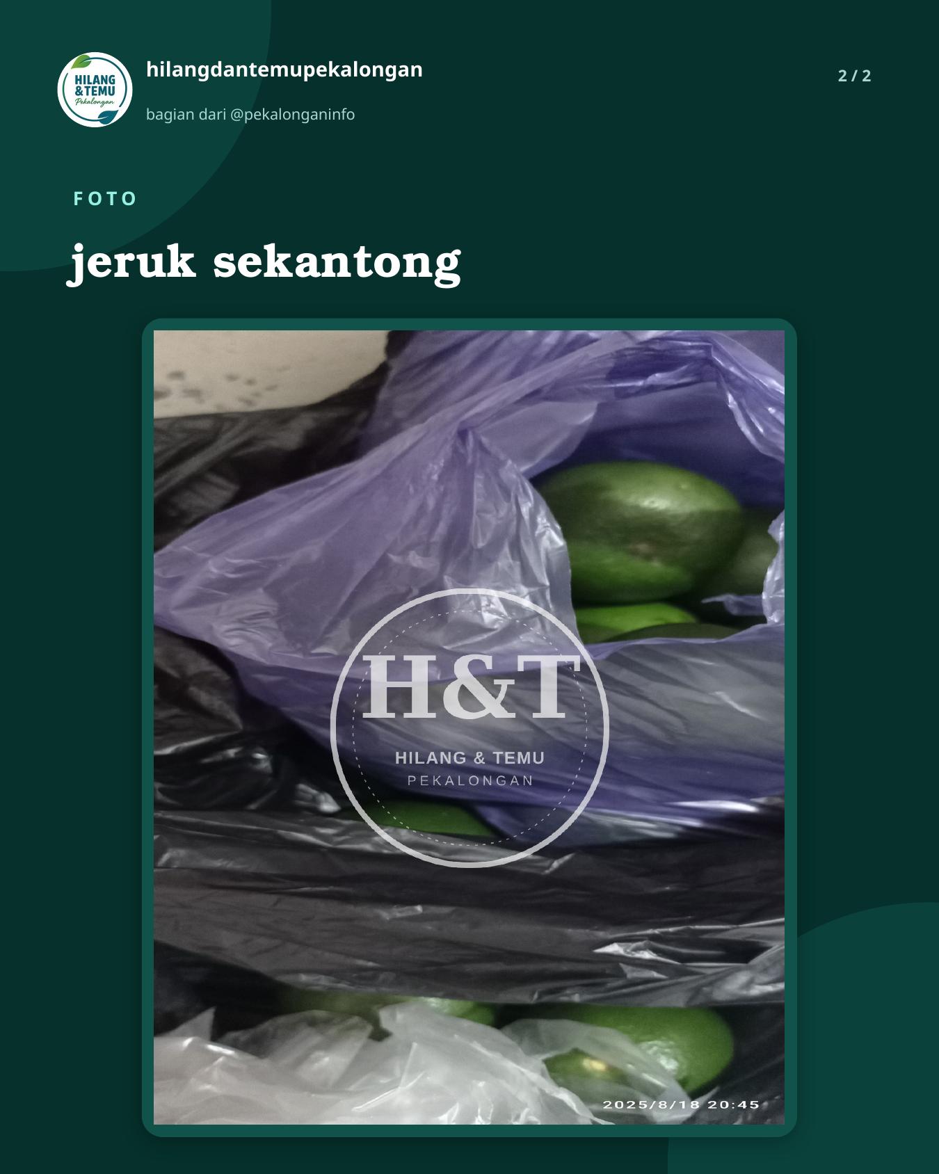 Slide 2 laporan jeruk sekantong