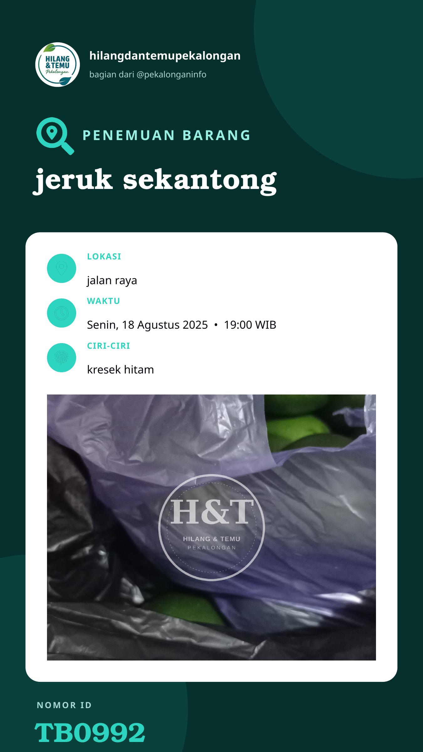 Story 9:16 laporan jeruk sekantong